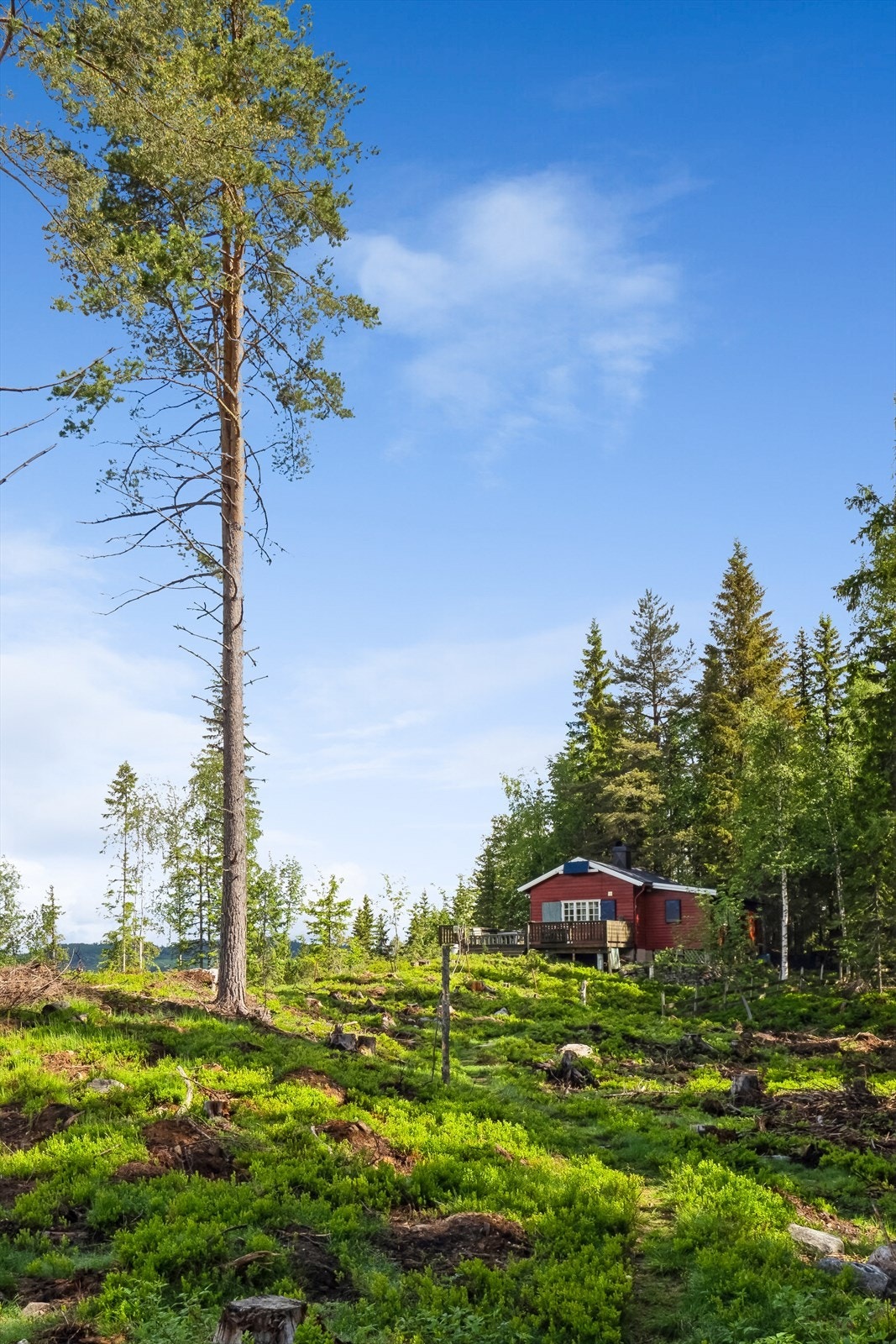 Skjermet og rolig beliggenhet. Galleribilde