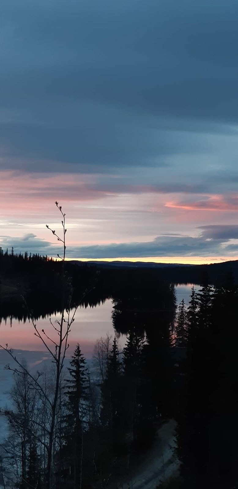 Trolsk stemning. Galleribilde