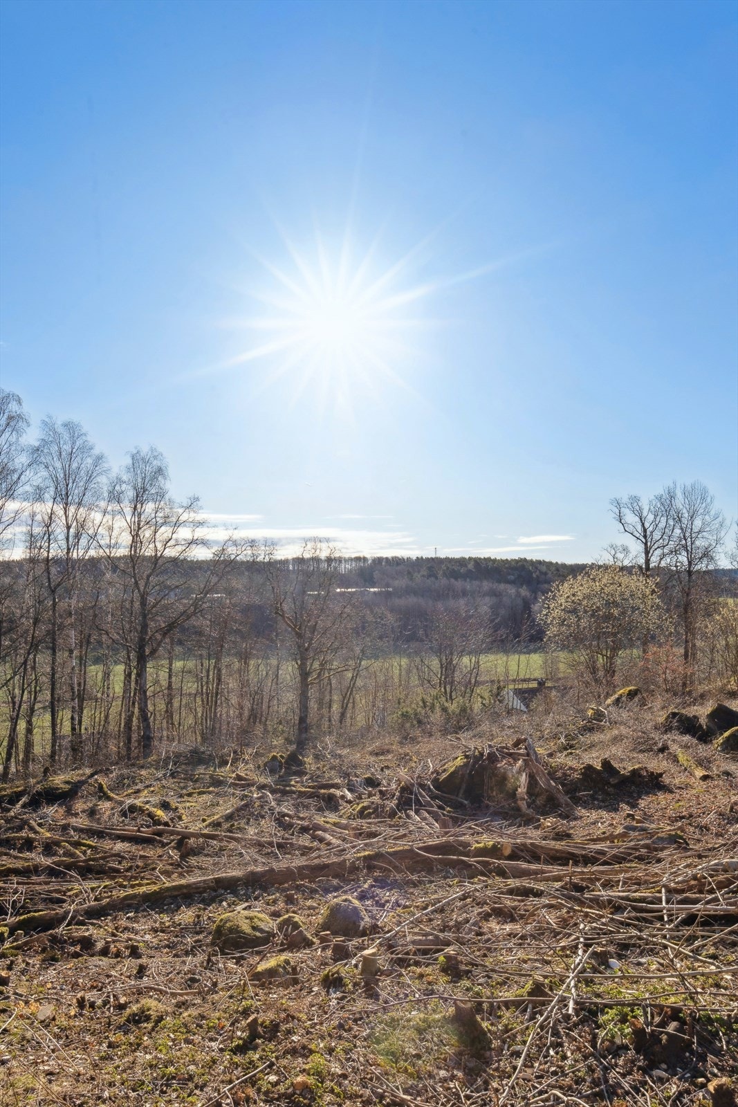 Boligtomt med stort potensiale. Solrik, landlig, rolig- og barnevennlig beliggenhet Galleribilde