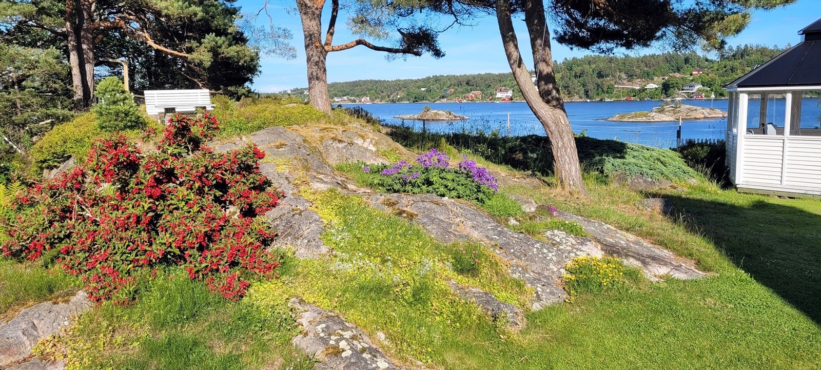 Gjennomtenkt anlagt hage hvor blomster, busker og trær vokser side om side Galleribilde