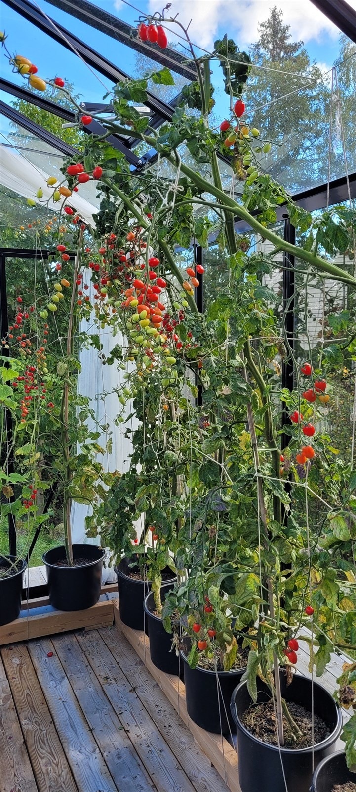 Drivhus med opplegg for vanningssystem hvor man kan dyrke sine egne urter og grønnsaker. Galleribilde