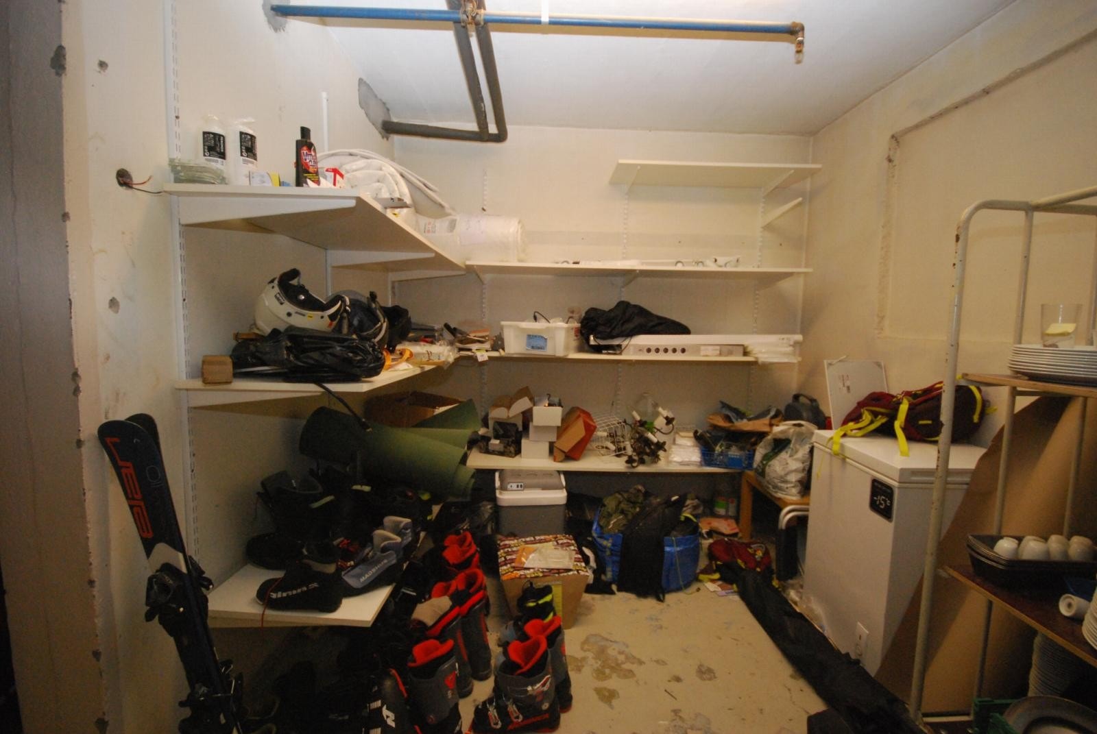 En av flere border i seksjonen Galleribilde