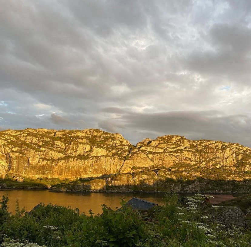 Utsikt. Galleribilde