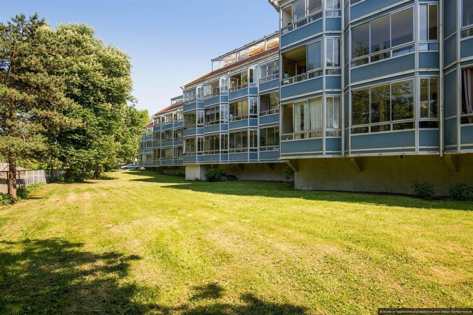 Privat bilde tatt om sommeren. Galleribilde