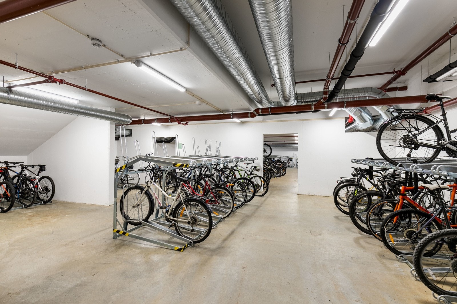 Sameiet har felles sykkelparkering i kjeller. Galleribilde