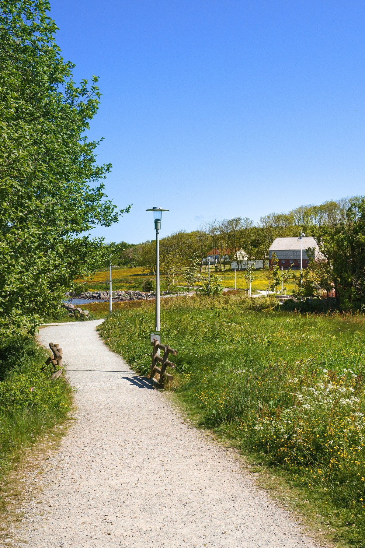 Mye fine tutsier i området! Galleribilde