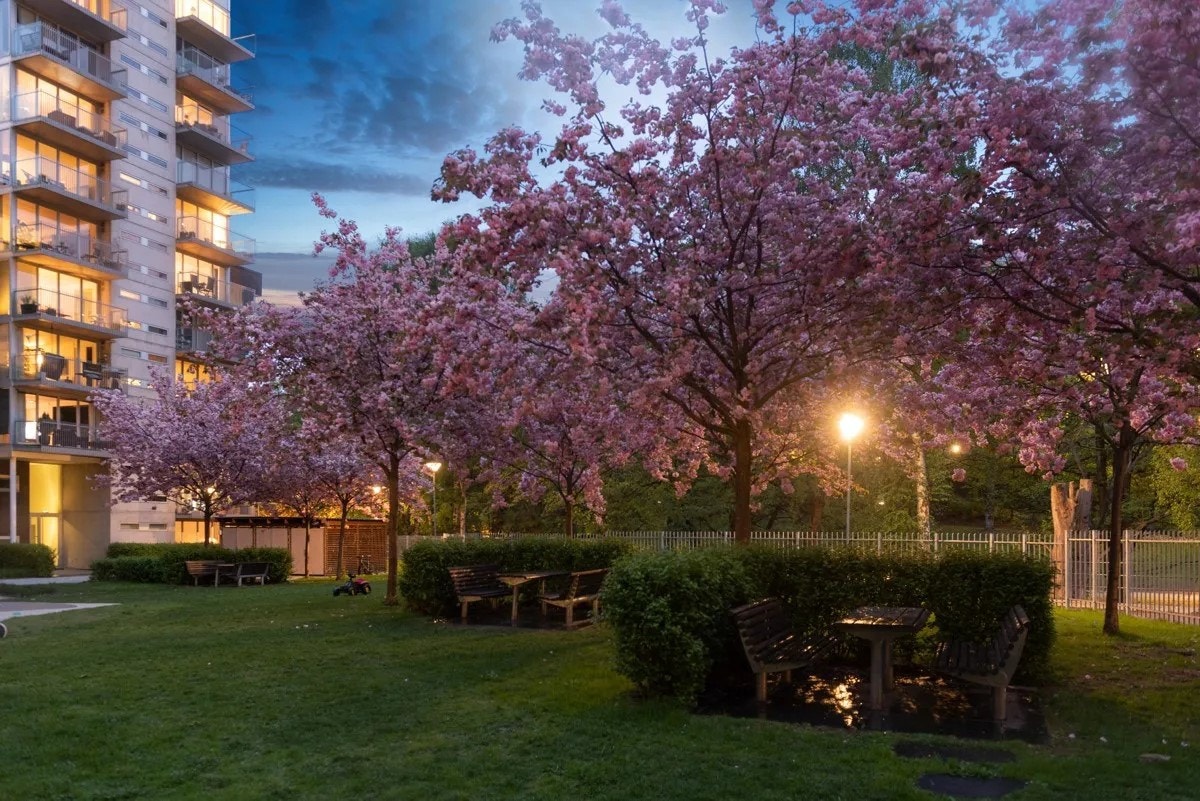 Her bor du i moderne, stilrene omgivelser med gode fellesarealer, stille bakgårder og frodige parkdrag som følger Akerselva. Galleribilde