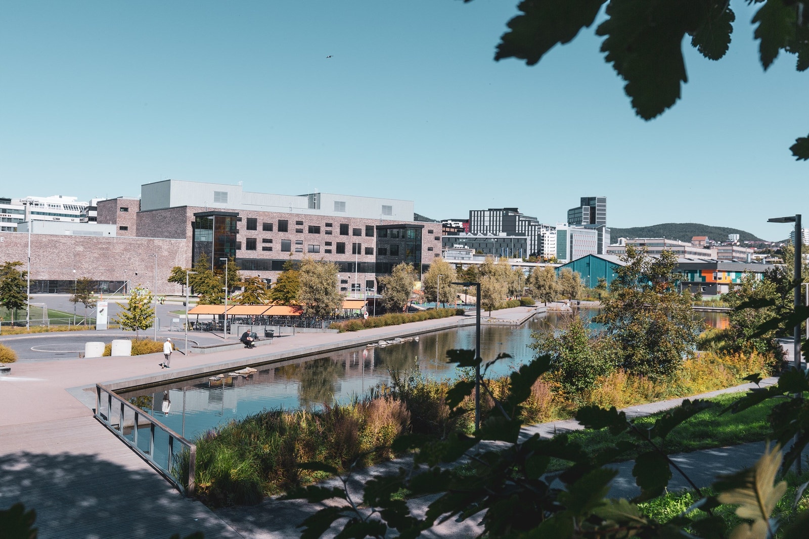 Teglverksdammen Galleribilde