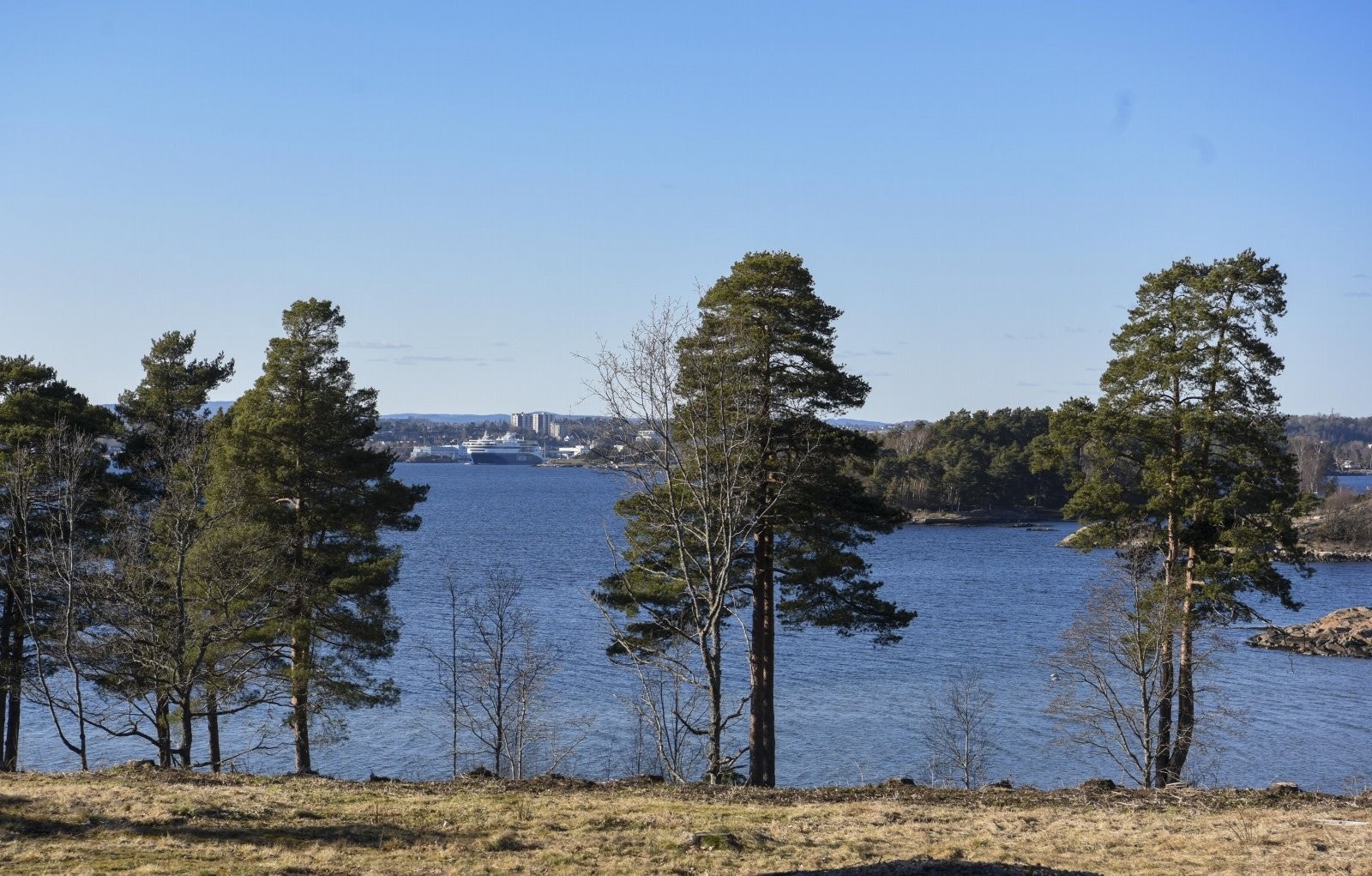 Utsikt med Sandefjord by i det fjerne Galleribilde