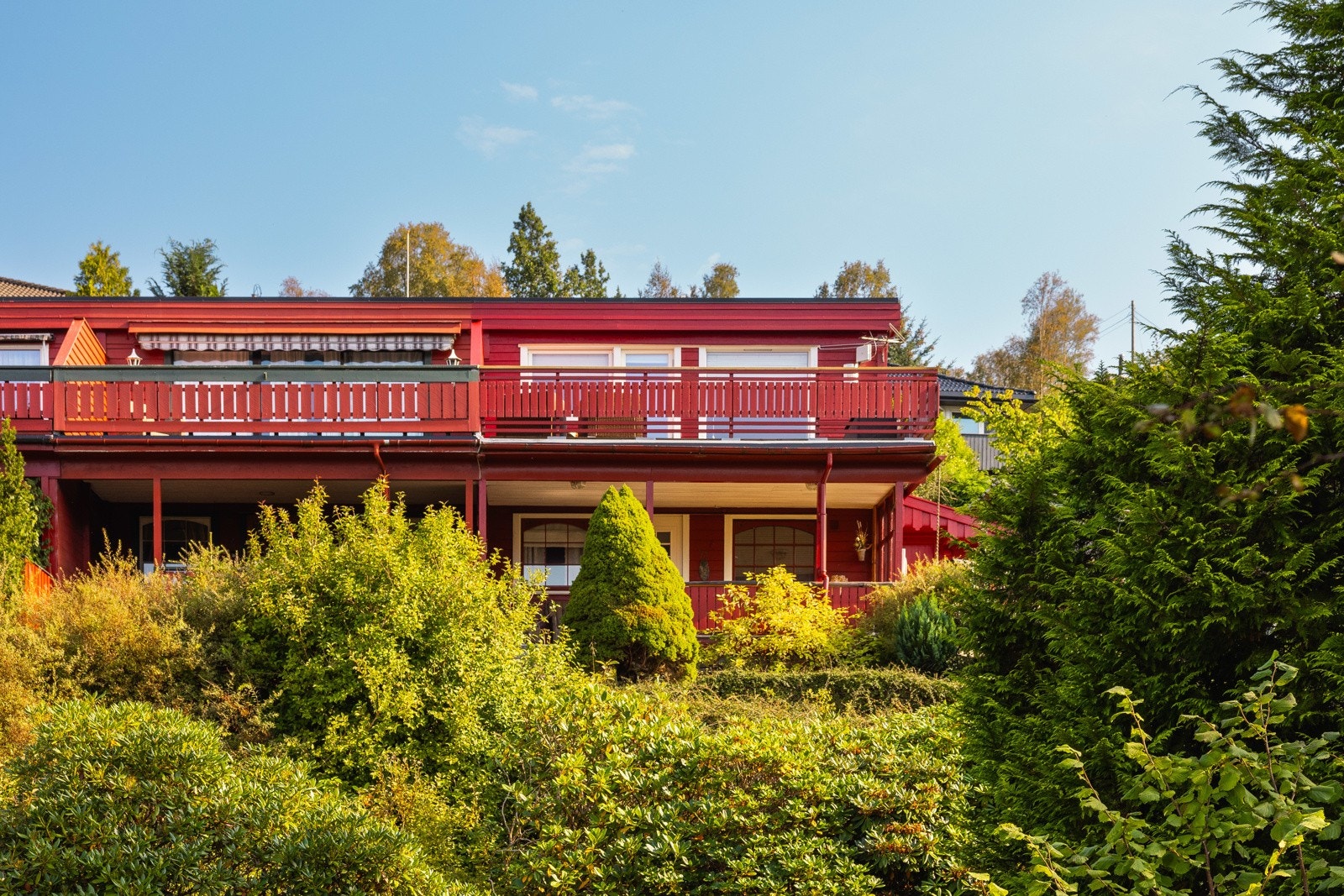 Velkommen til visning! Galleribilde