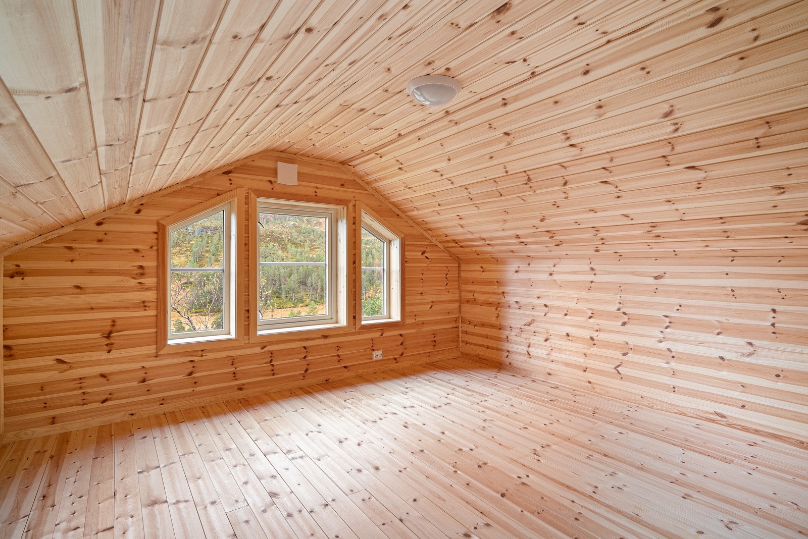 Hemsrom 2 Galleribilde