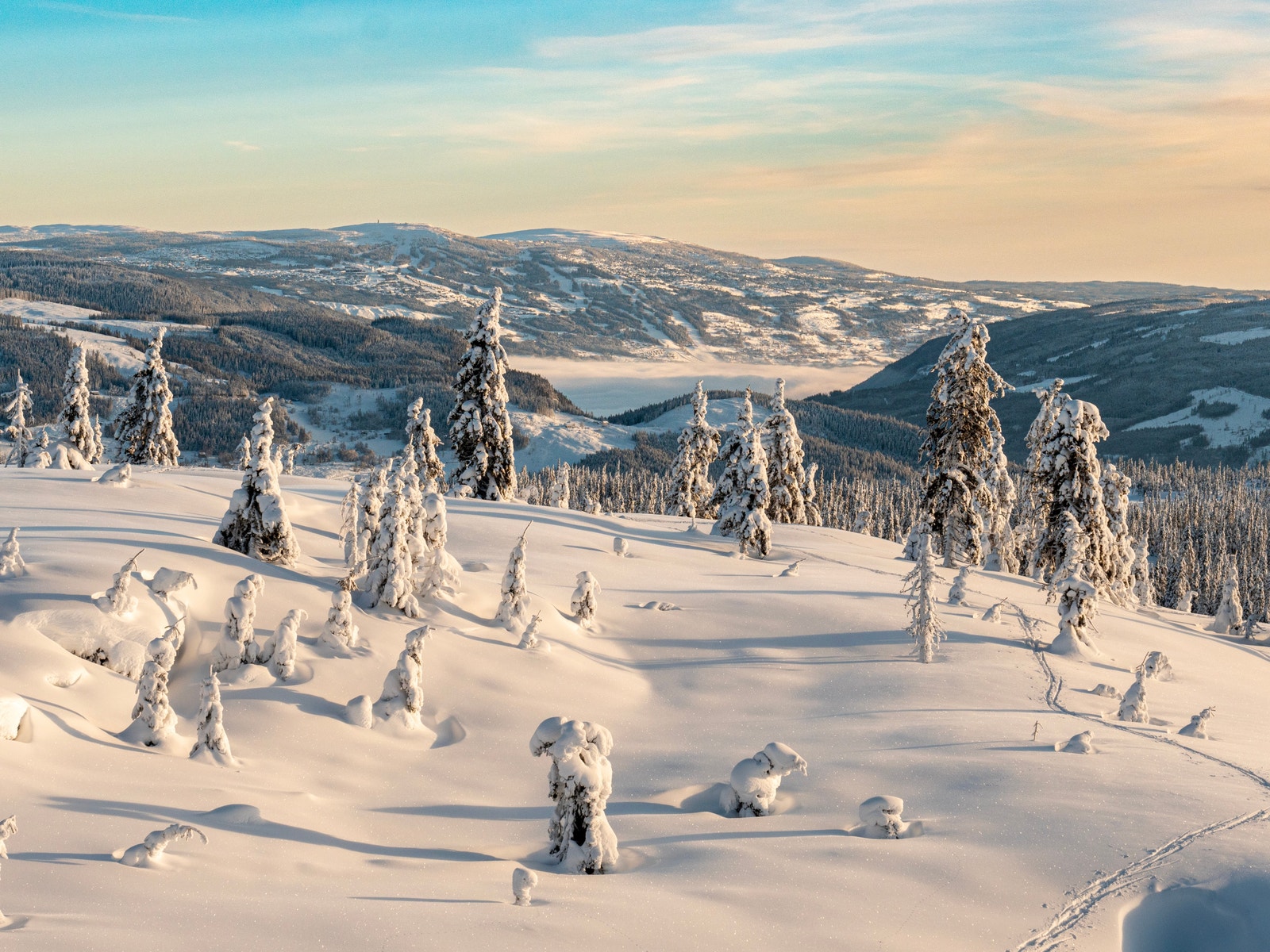 Tomtene ligger i det siste utbygde feltet, har flott utsikt og lang solgang. Galleribilde
