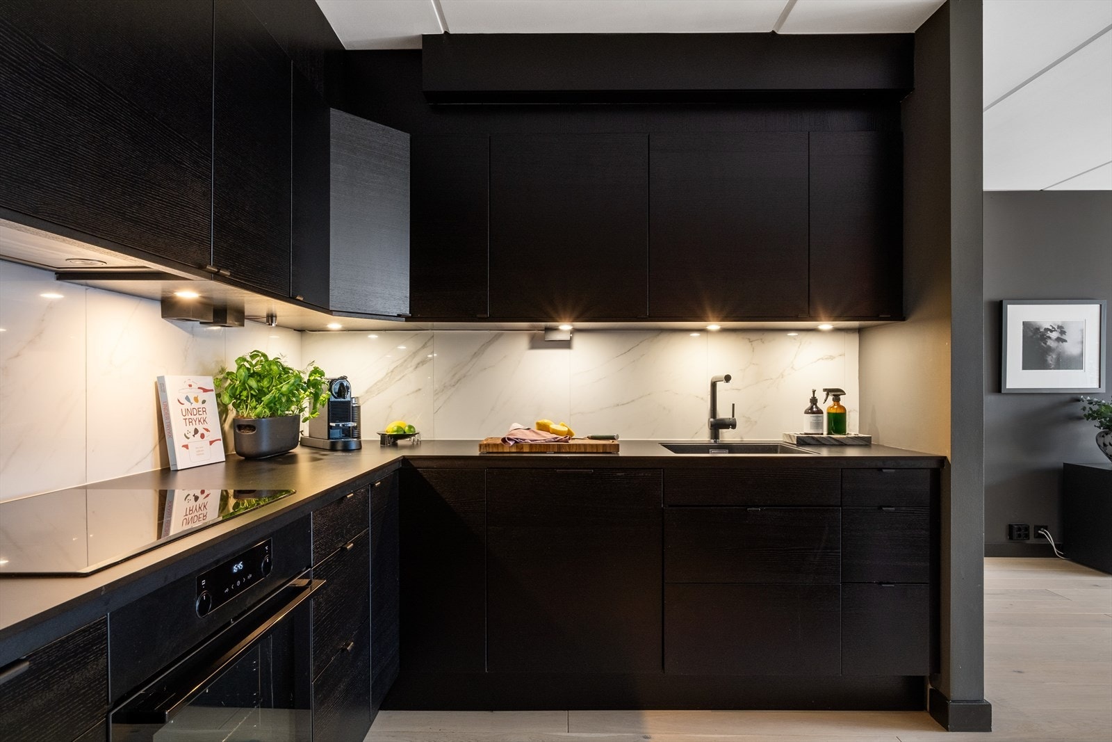 Kjøkkenet har stor benkeplass og gode oppbevarings muligheter med spotter som gir godt med arbeidslys. Galleribilde