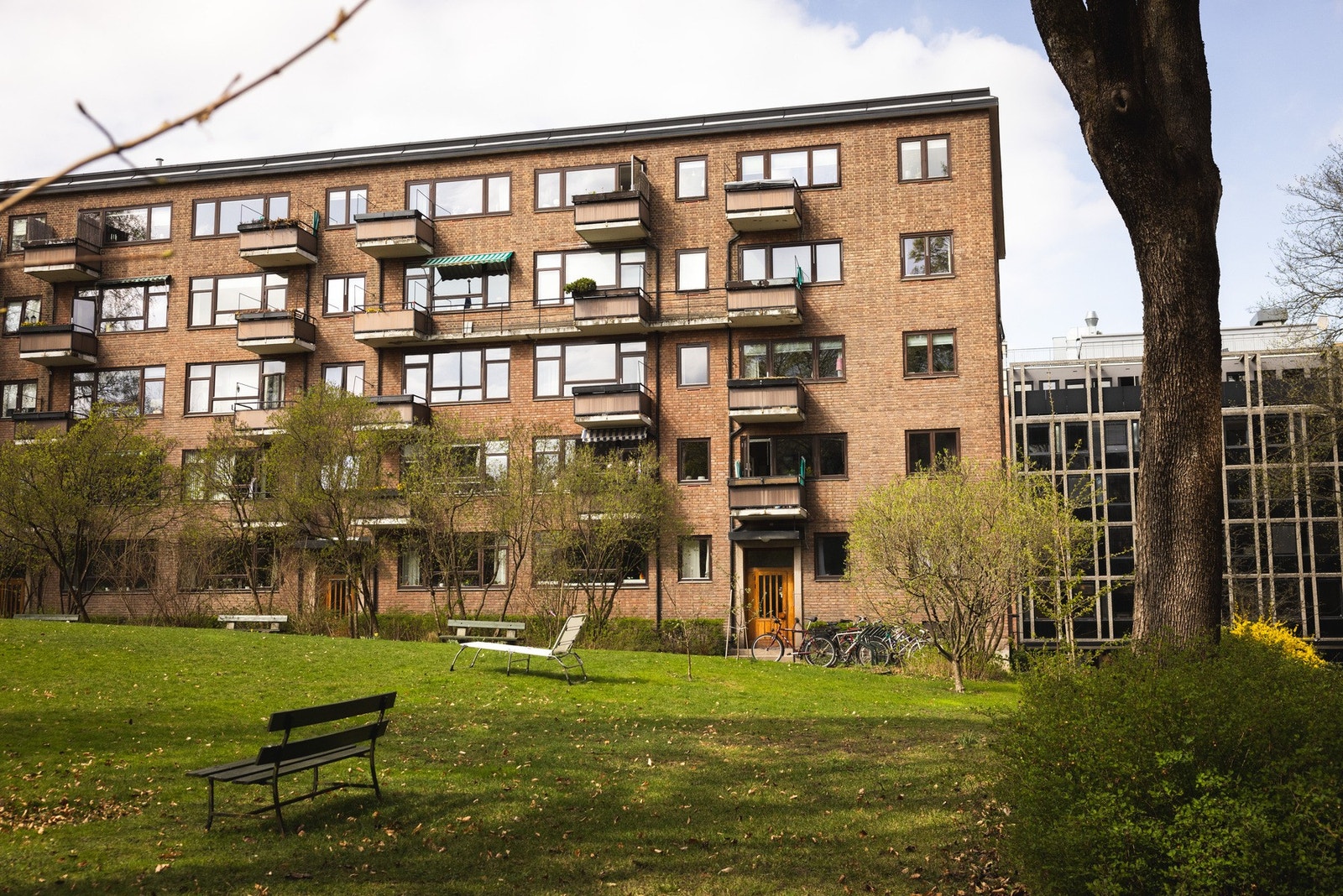Bakgården har gode lys- og solforhold. Her kan du nyte lange, deilige sommerdager! Galleribilde