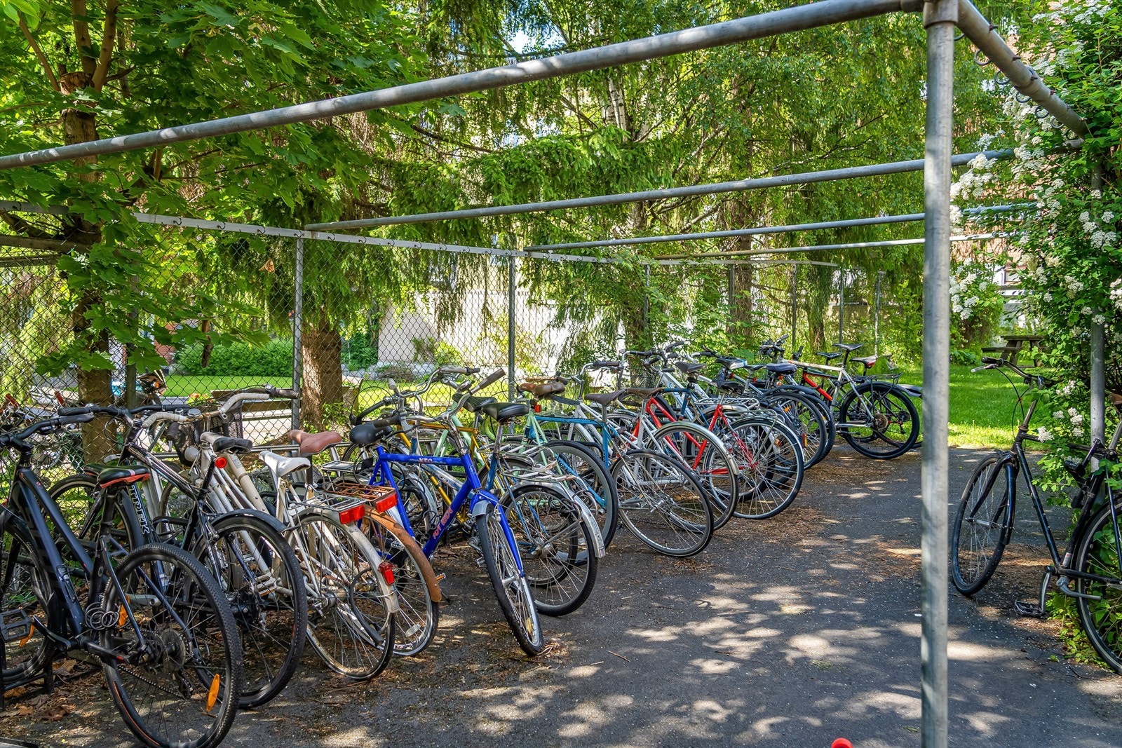 Felles sykkelparkering på borettslagets tomt. Galleribilde