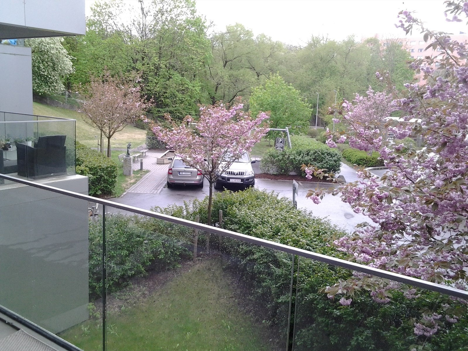 Selgers egne bilder fra balkong når trærne blomstrer. Galleribilde