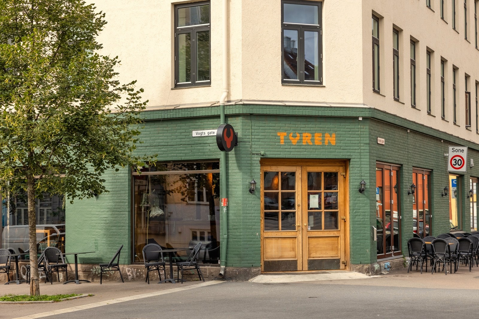 Tyren er en koselig liten hjørnebar. Galleribilde