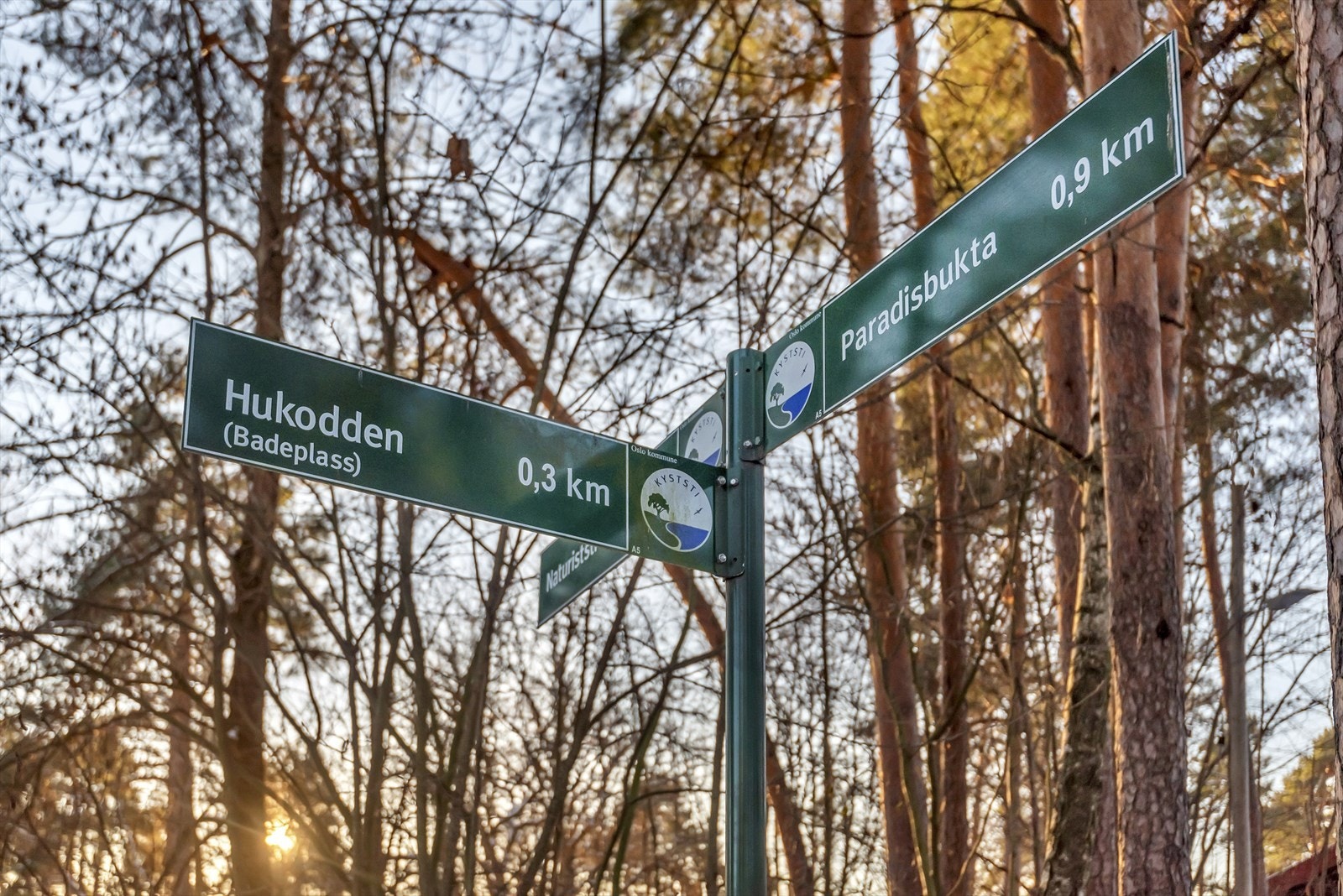 Kort vei til Bygdøy med flere turmuligheter og et stort fritidstilbud. Halvøyen er kjent for museer, skogsstier og strender. Galleribilde