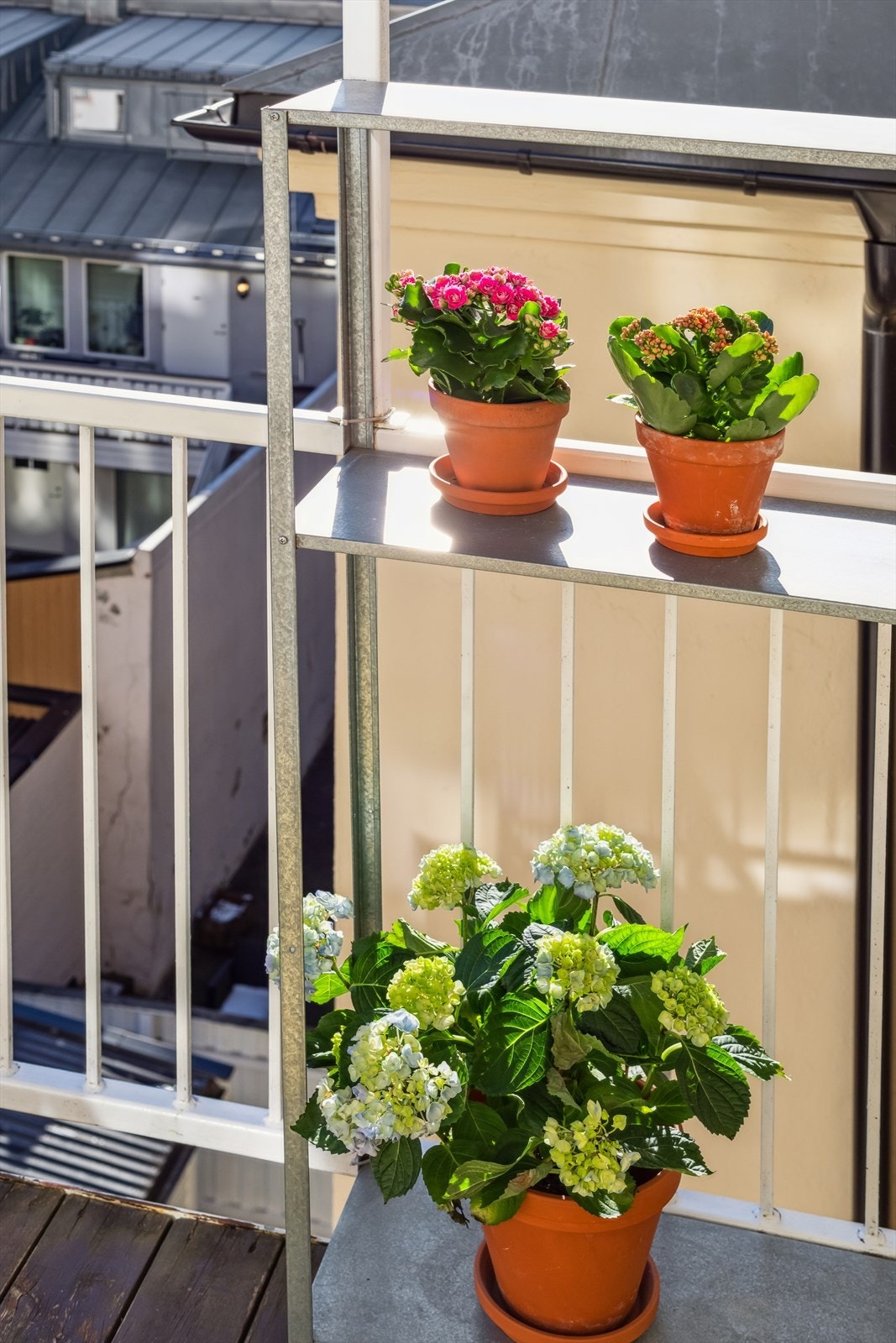 Her kan man nyte fine dager. Galleribilde