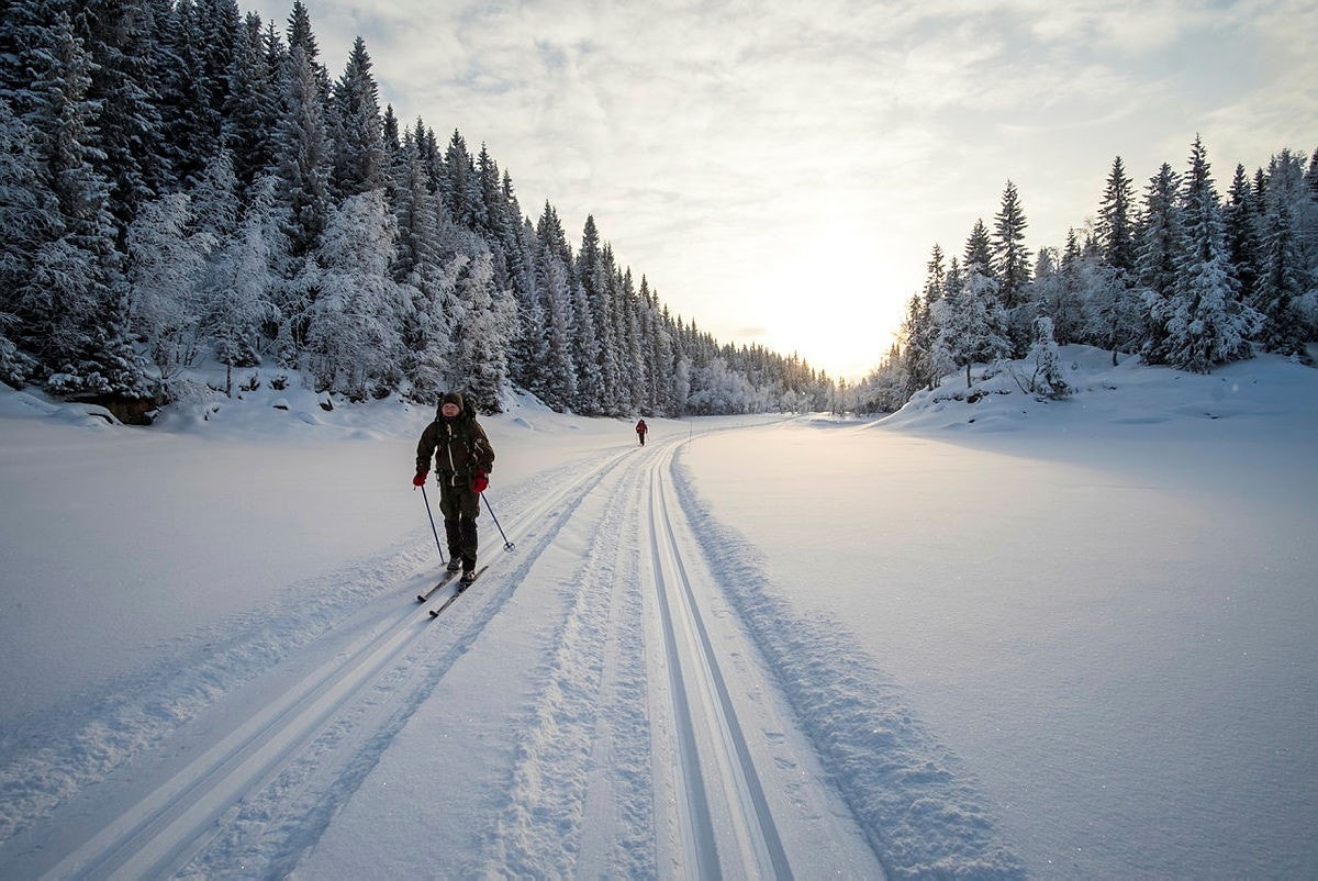 I samme område er det et rikt utvalg av skiløyper (Foto: DNT) Galleribilde