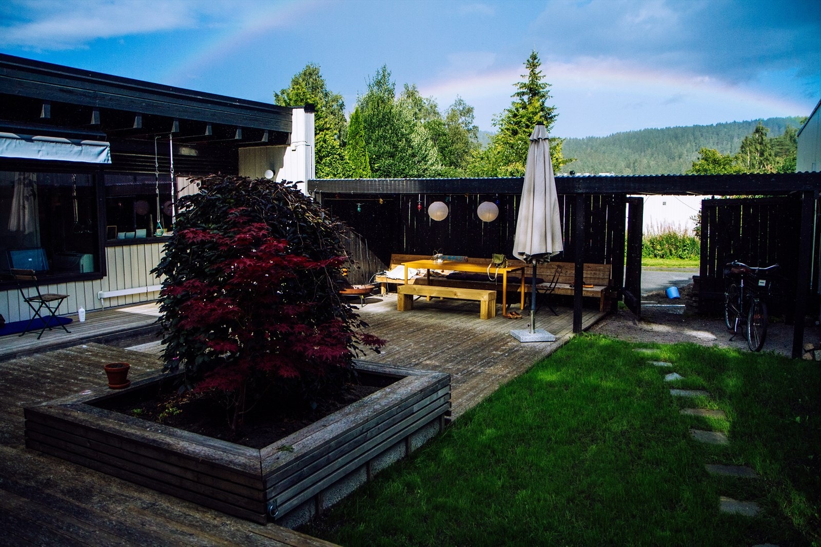 Det er gode vekstkår inne i atriummet Galleribilde