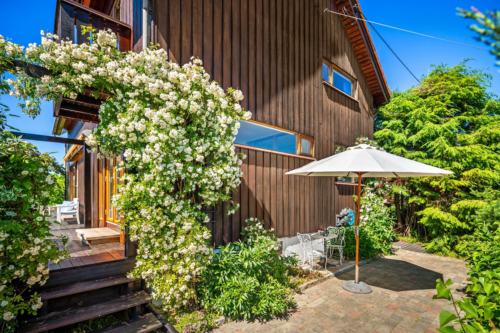 Sommerbilder Galleribilde