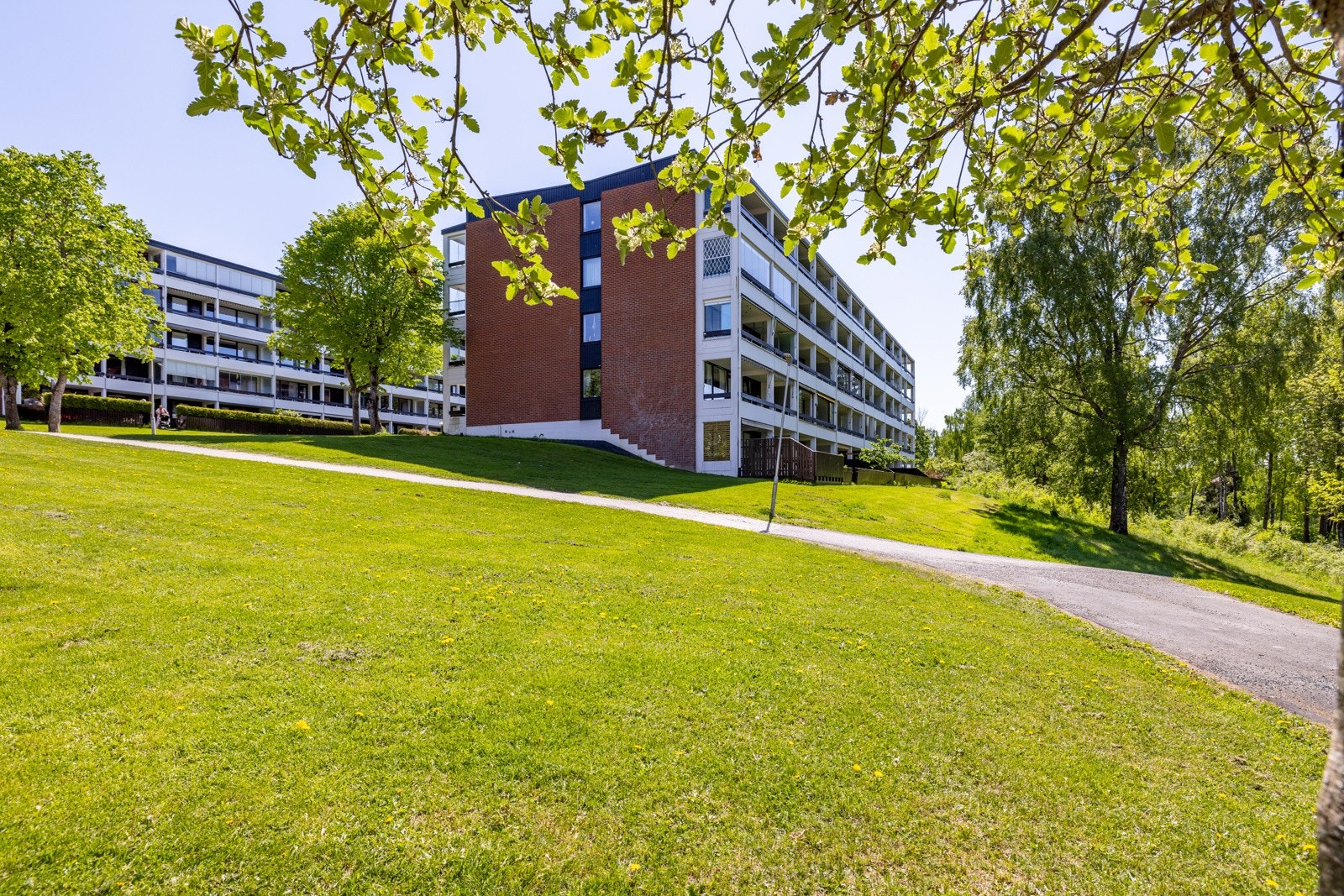 Mærradalen - Borettslaget nærmeste nabo og starten på enhver aktivitet. Galleribilde