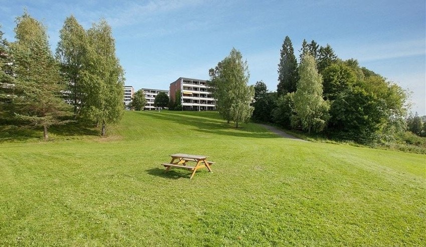 Mærradalen - Borettslaget nærmeste nabo og starten på enhver aktivitet. Galleribilde