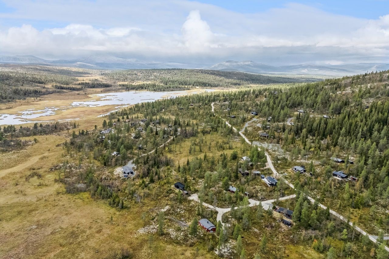 Drone Galleribilde