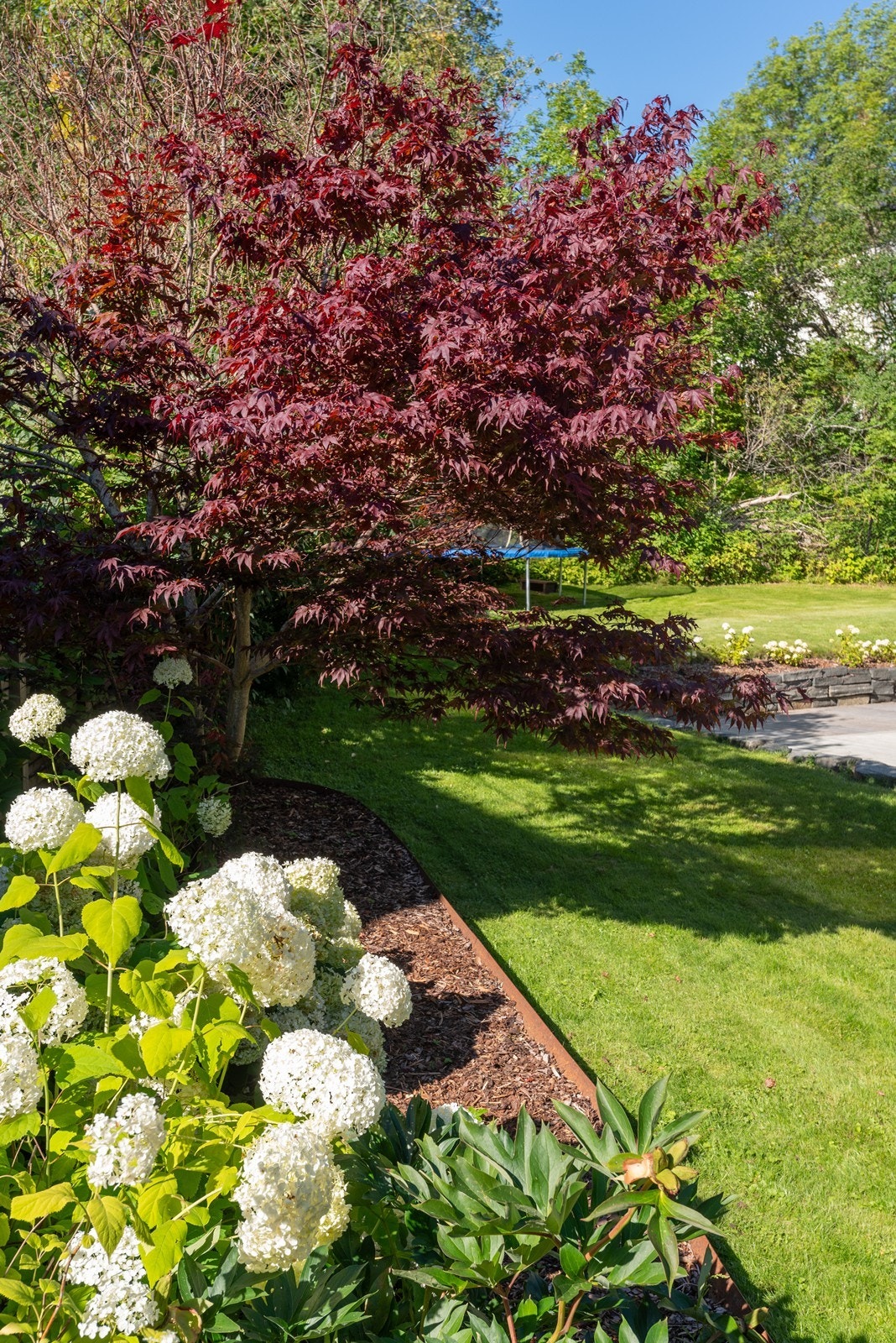 Nydelig hage med pen beplantning Galleribilde