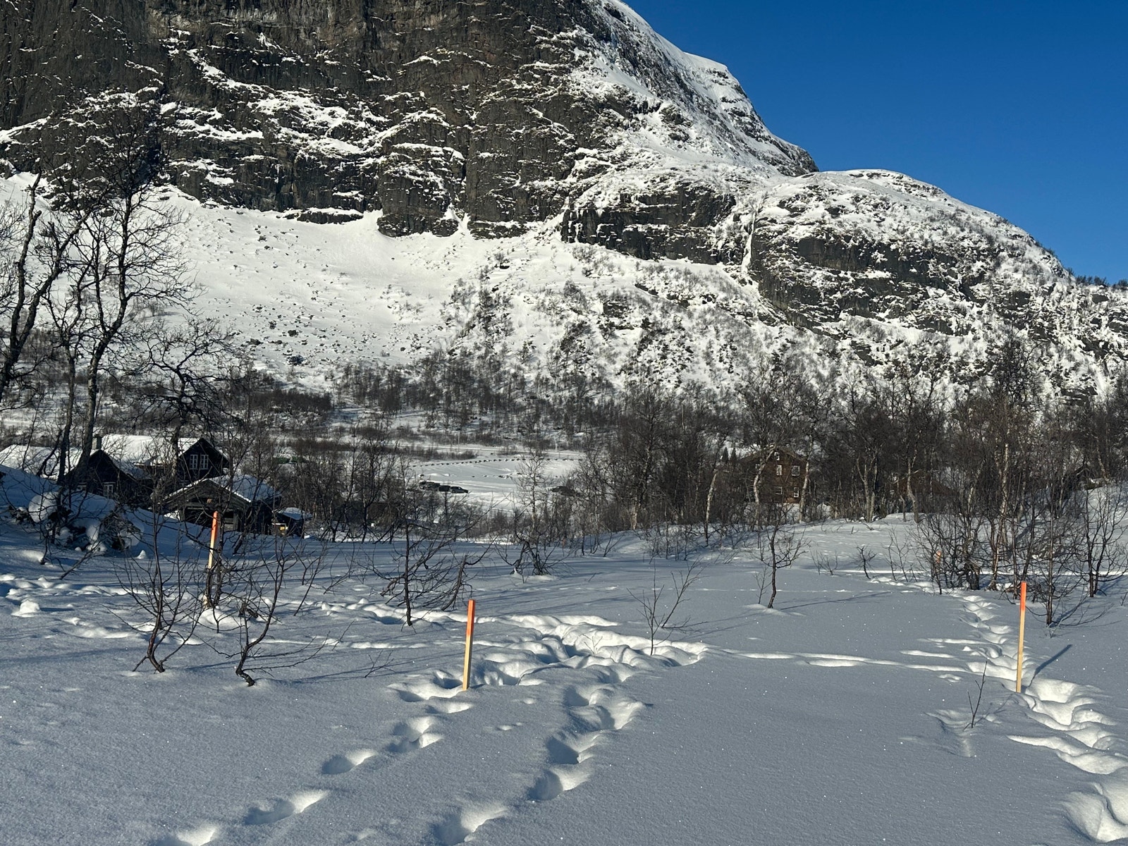 Utsikt fra tomten mot nord Galleribilde