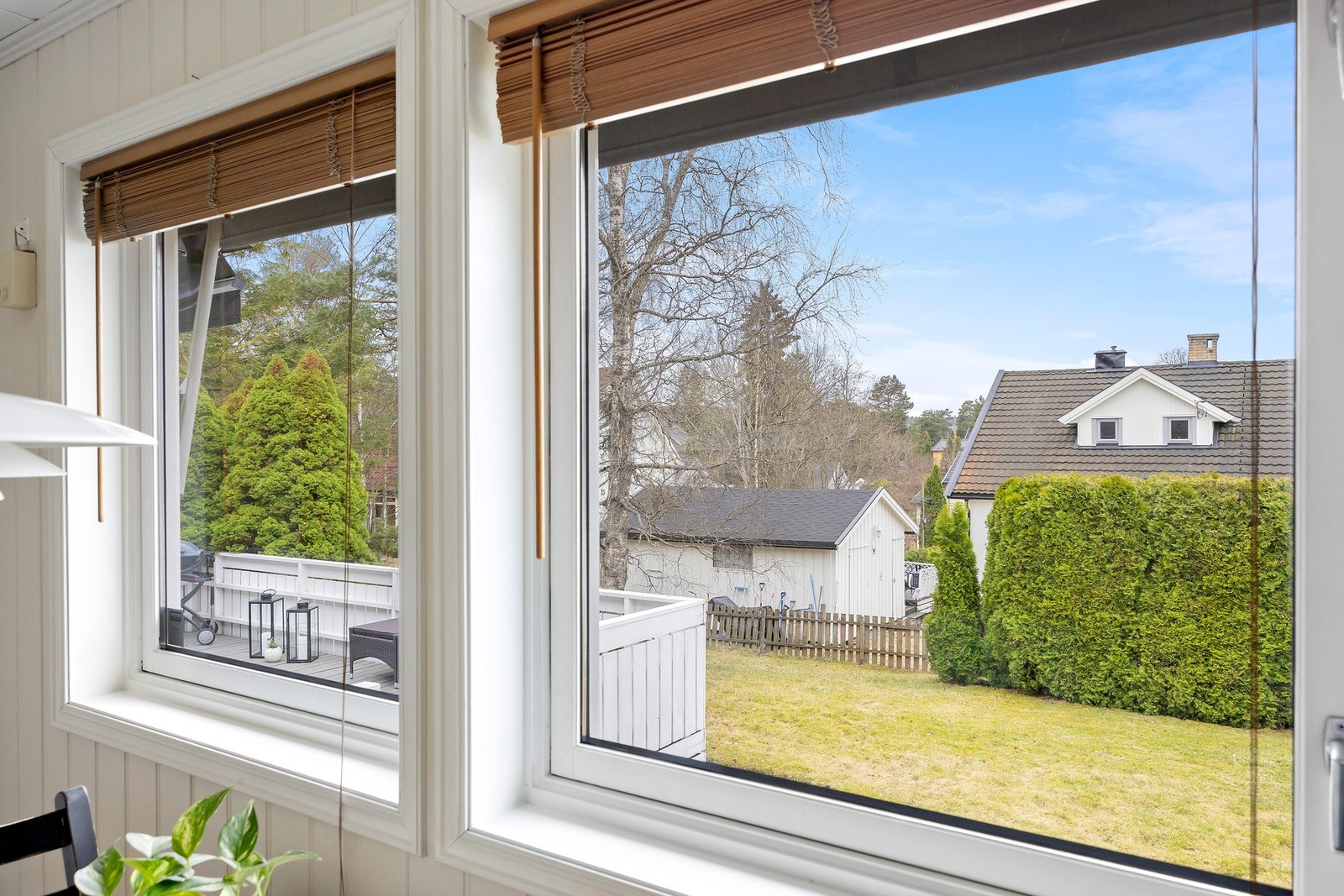 Store vindusflater med utsikt mot hagen Galleribilde