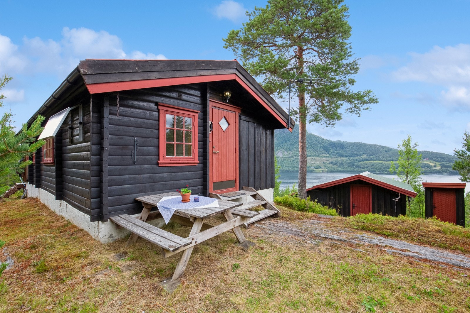 Velkommen til Kvithylla 1! Galleribilde
