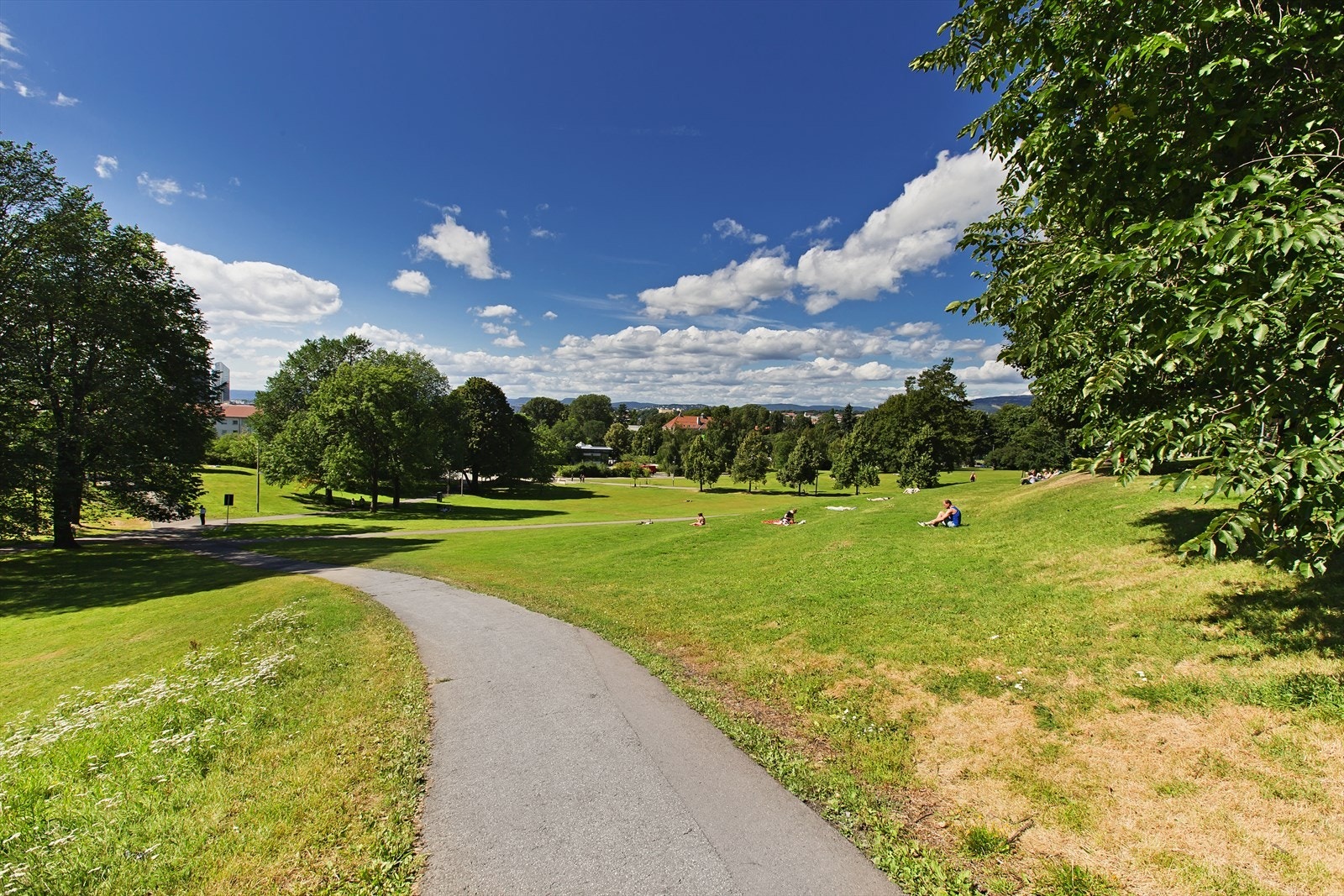 Nærområdet byr på flotte park- og grøntområder som Botanisk Hage, Middelalderparken, Tøyenparken med "Øyafestivalen", Ola Narr og ikke minst flotte stier langs Akerselva som fører opp til hyggelige badeplasser eller ned til sentrum. Galleribilde