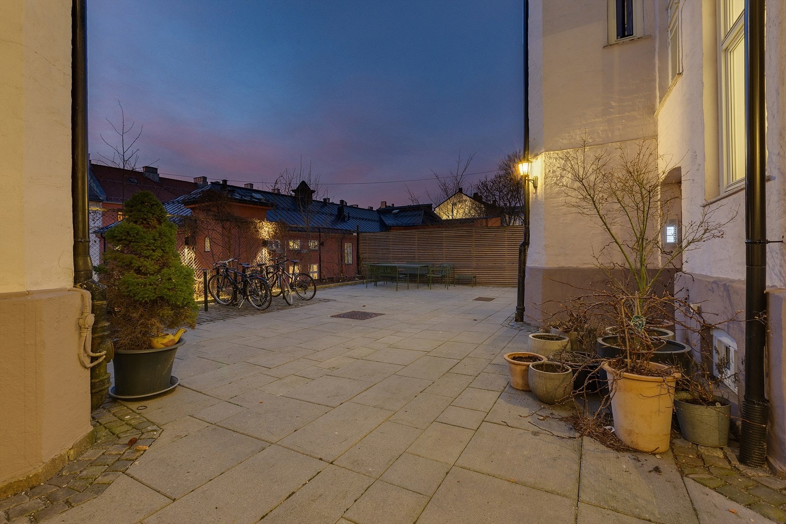 Kveldsfoto av bakgården. Galleribilde