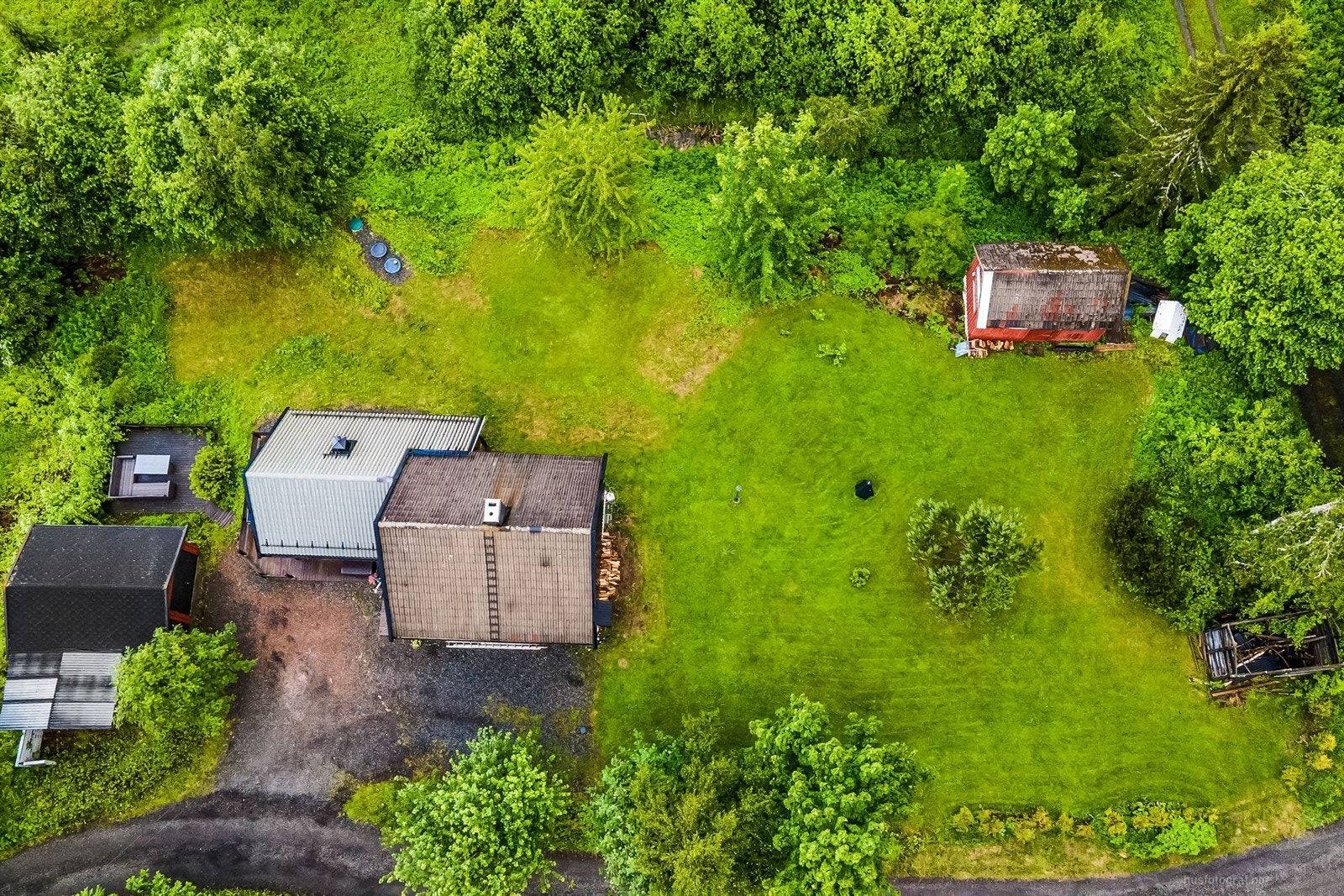 Tomten er bestående av gressplen, trær, diverse beplantninger og noe naturtomt Galleribilde