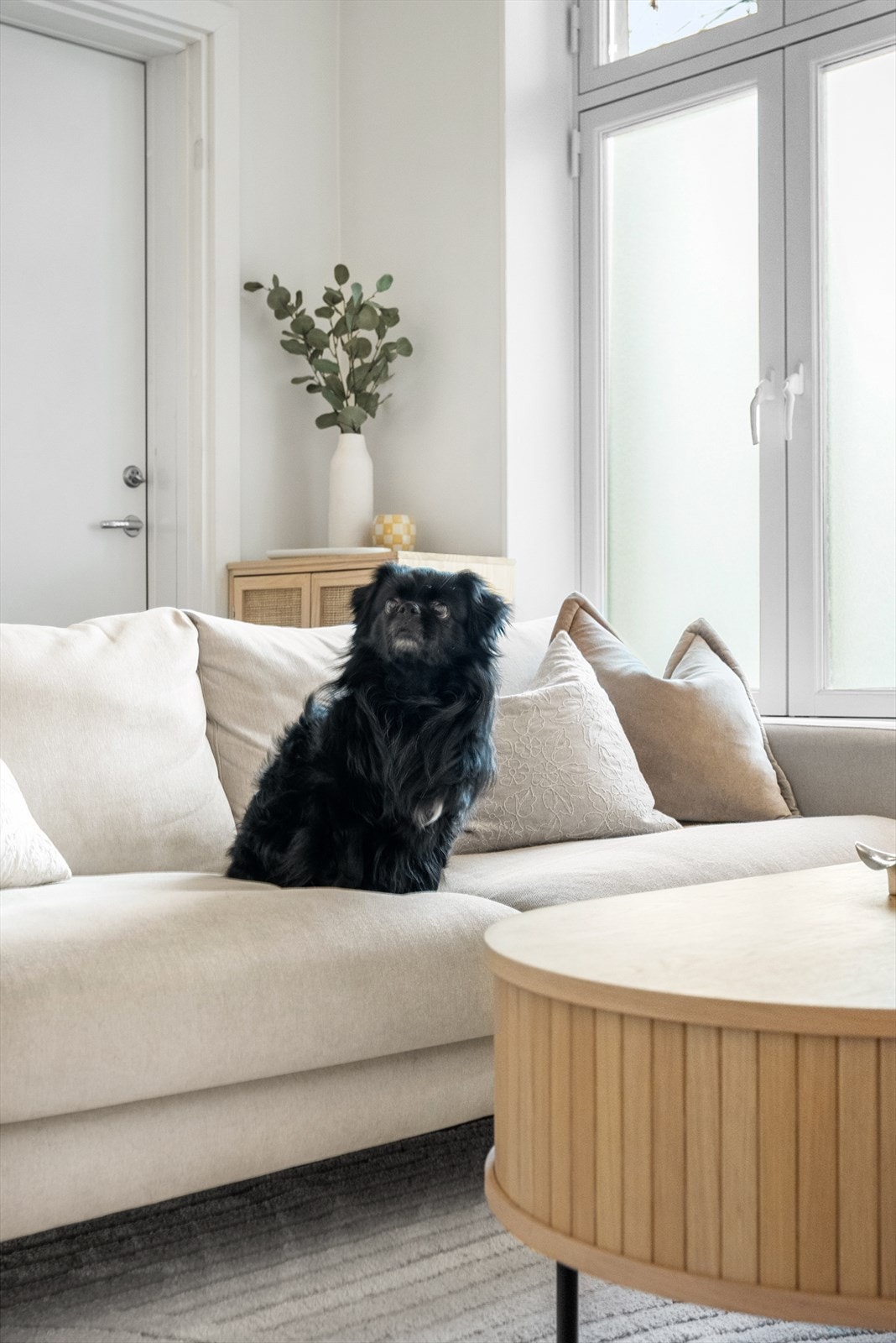 Nevnte jeg at det er tillat med hund? Galleribilde