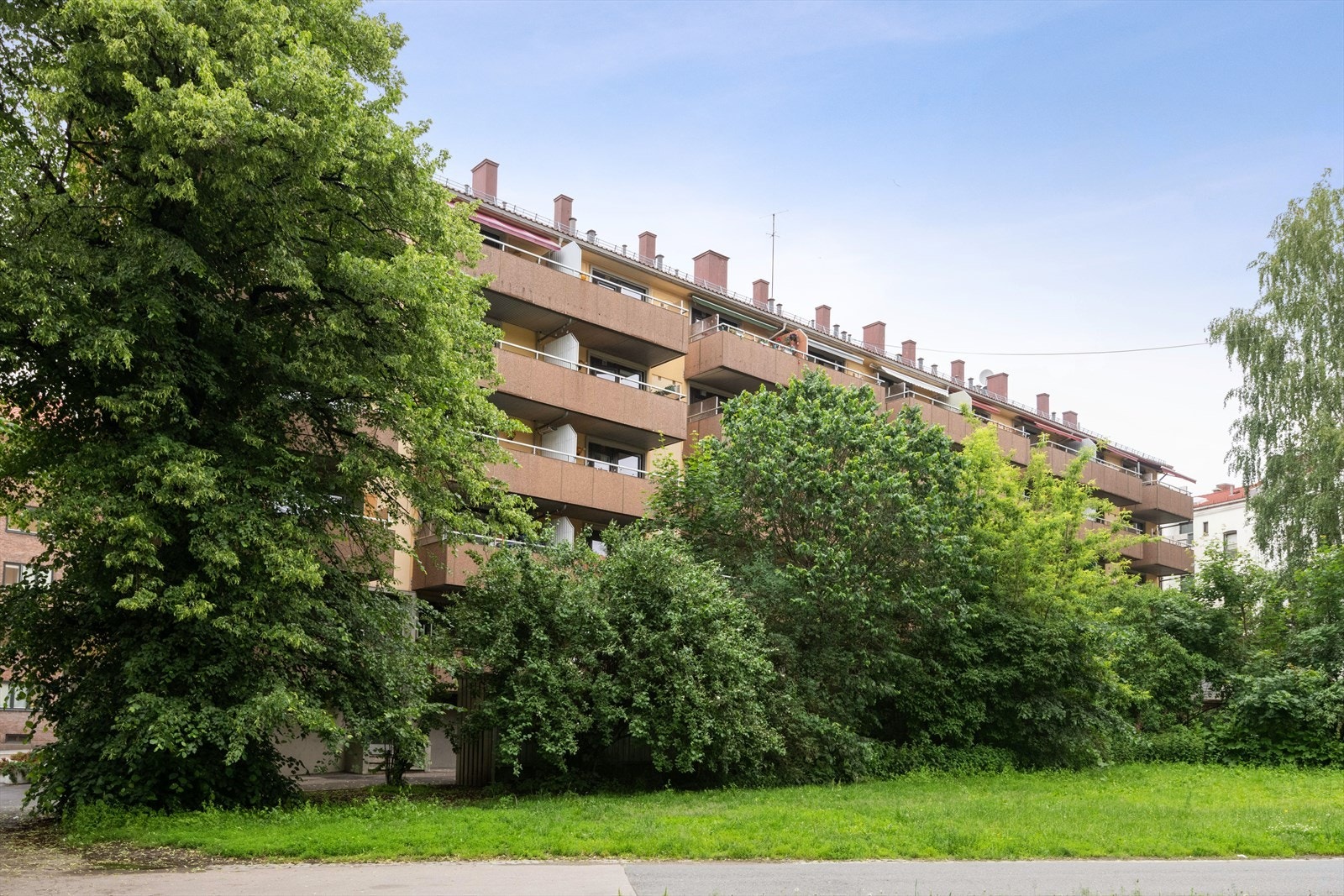Her sitter du skjermet fra innsyn, men får allikevel solen som kommer inn over trærne Galleribilde