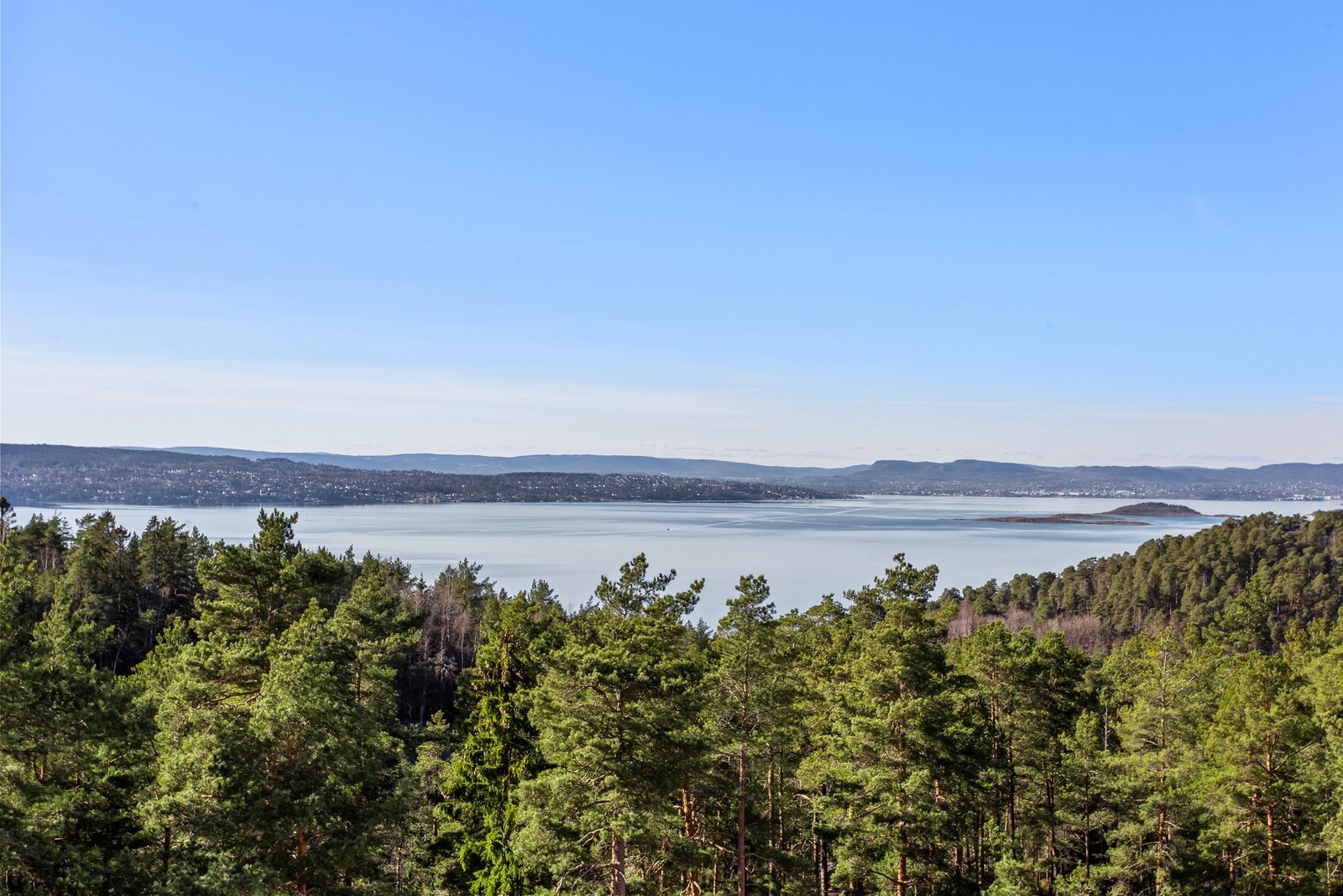 Utsikt utover fjorden og tretoppene Galleribilde