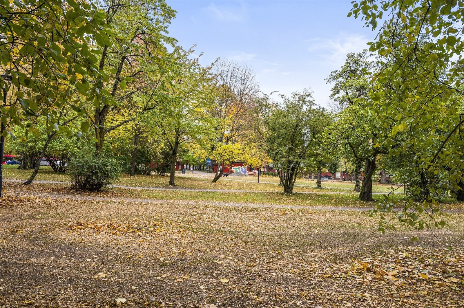 I Valdresgata bor du rett ved Hallénparken, hvor det er fantastisk å våkne opp om morgenen med lys og fuglekvitter. Galleribilde