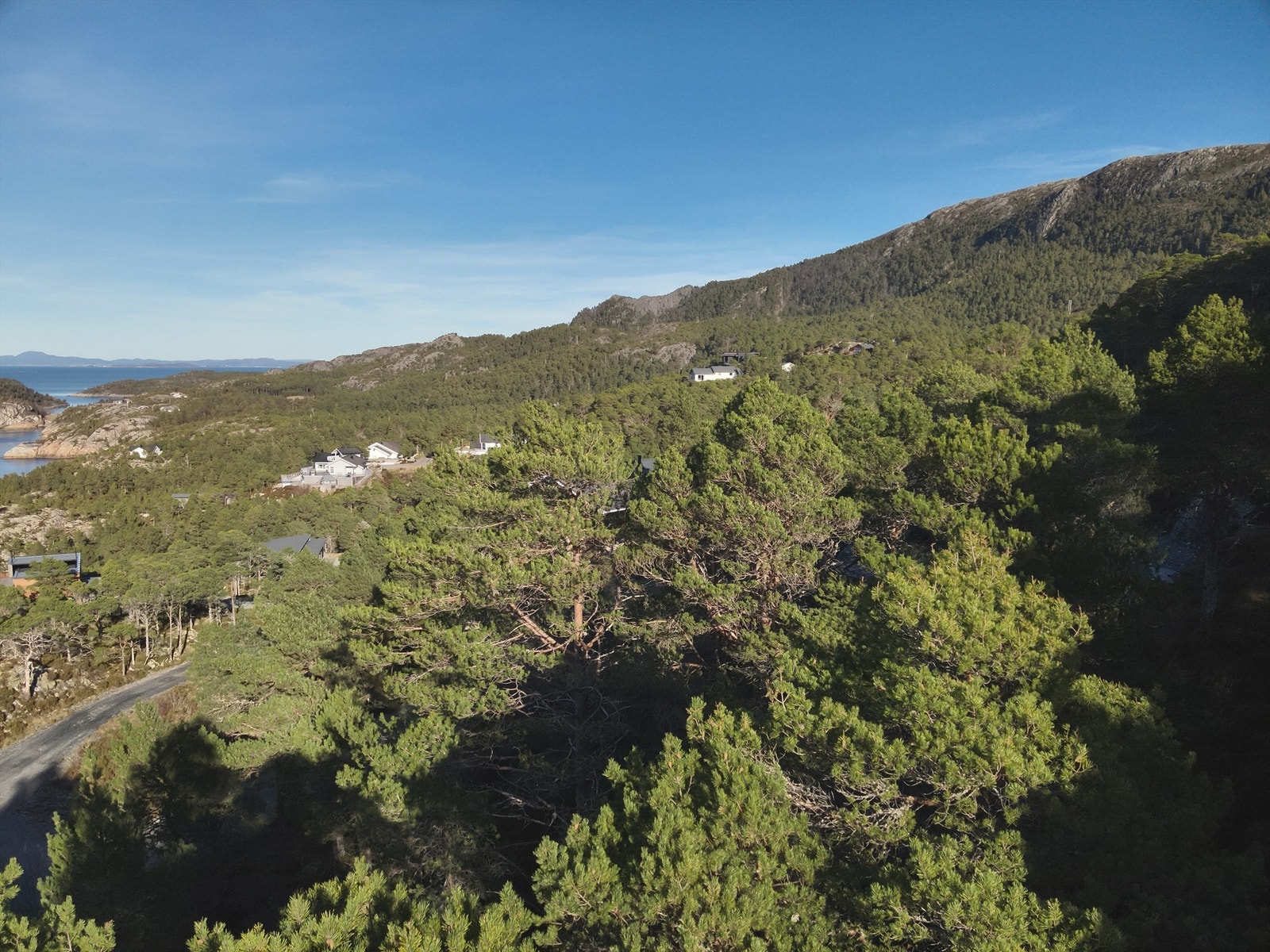 Det er anlagt vei frem til tomten Galleribilde