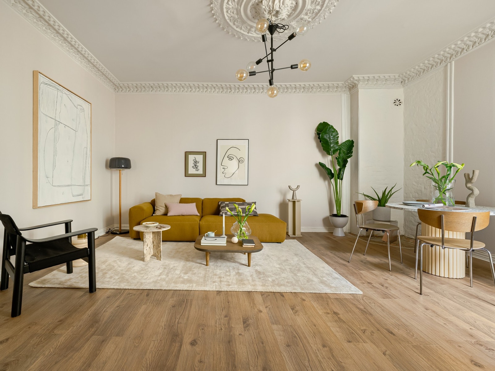 Velkommen til Welhavens gate 18! Galleribilde