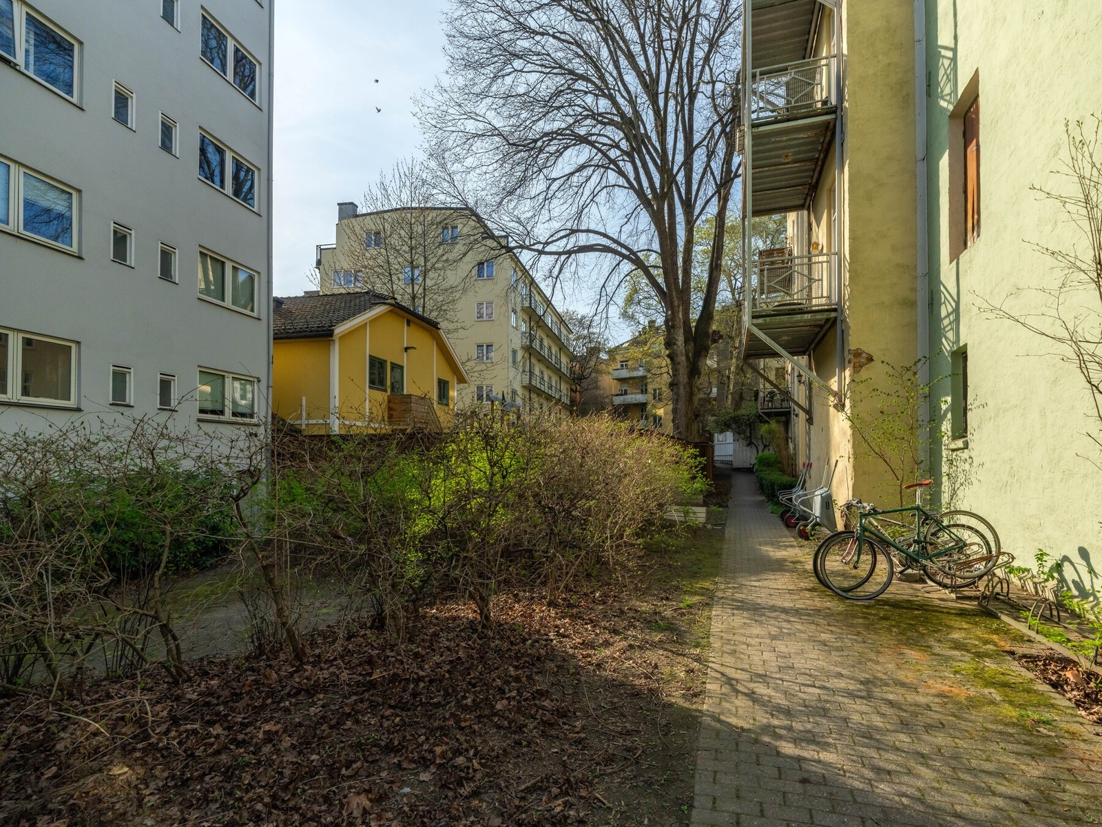 I bakgården er det plass til å sette fra seg sykkelen. Galleribilde