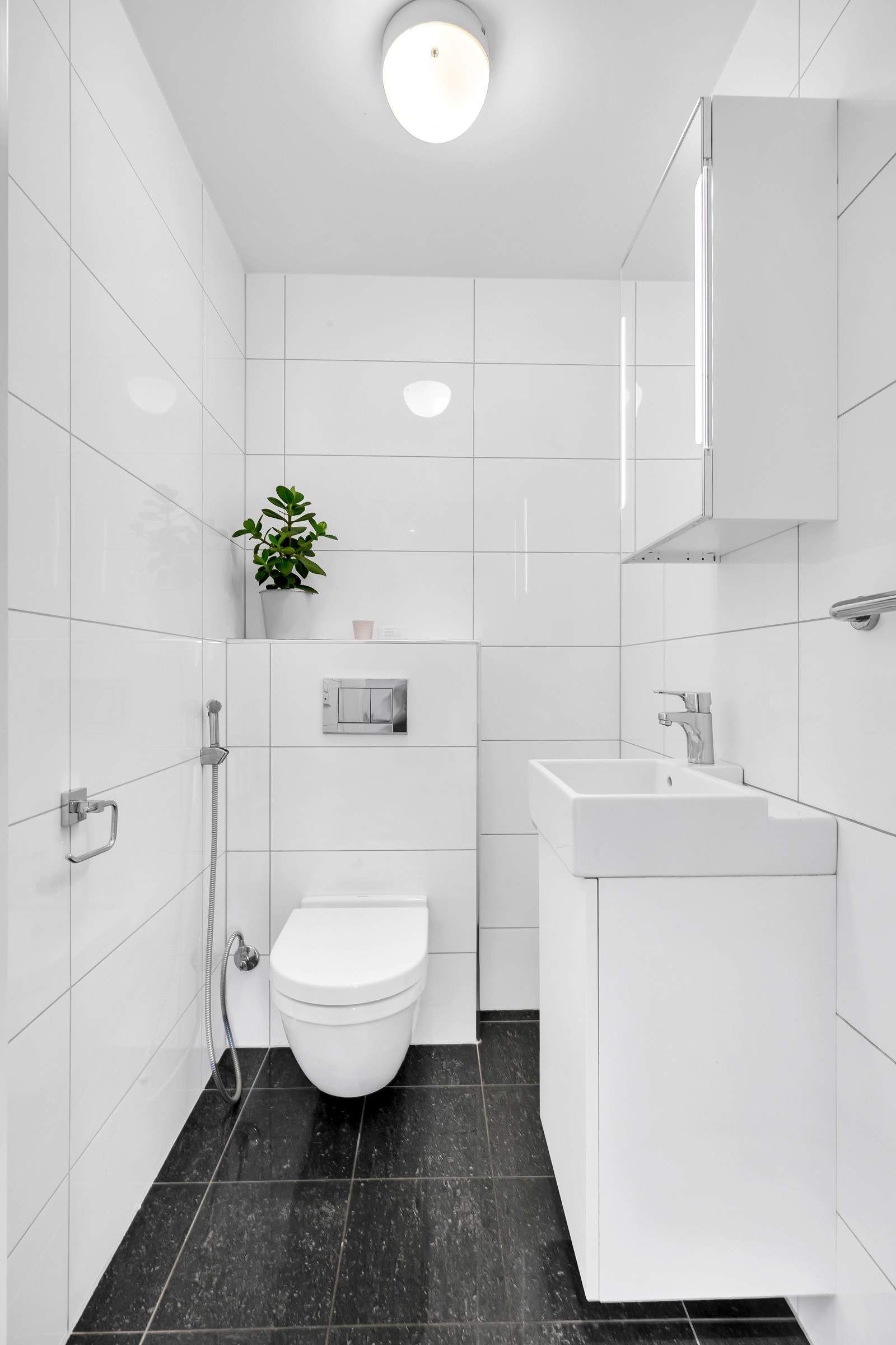 Separat toalettrom Galleribilde