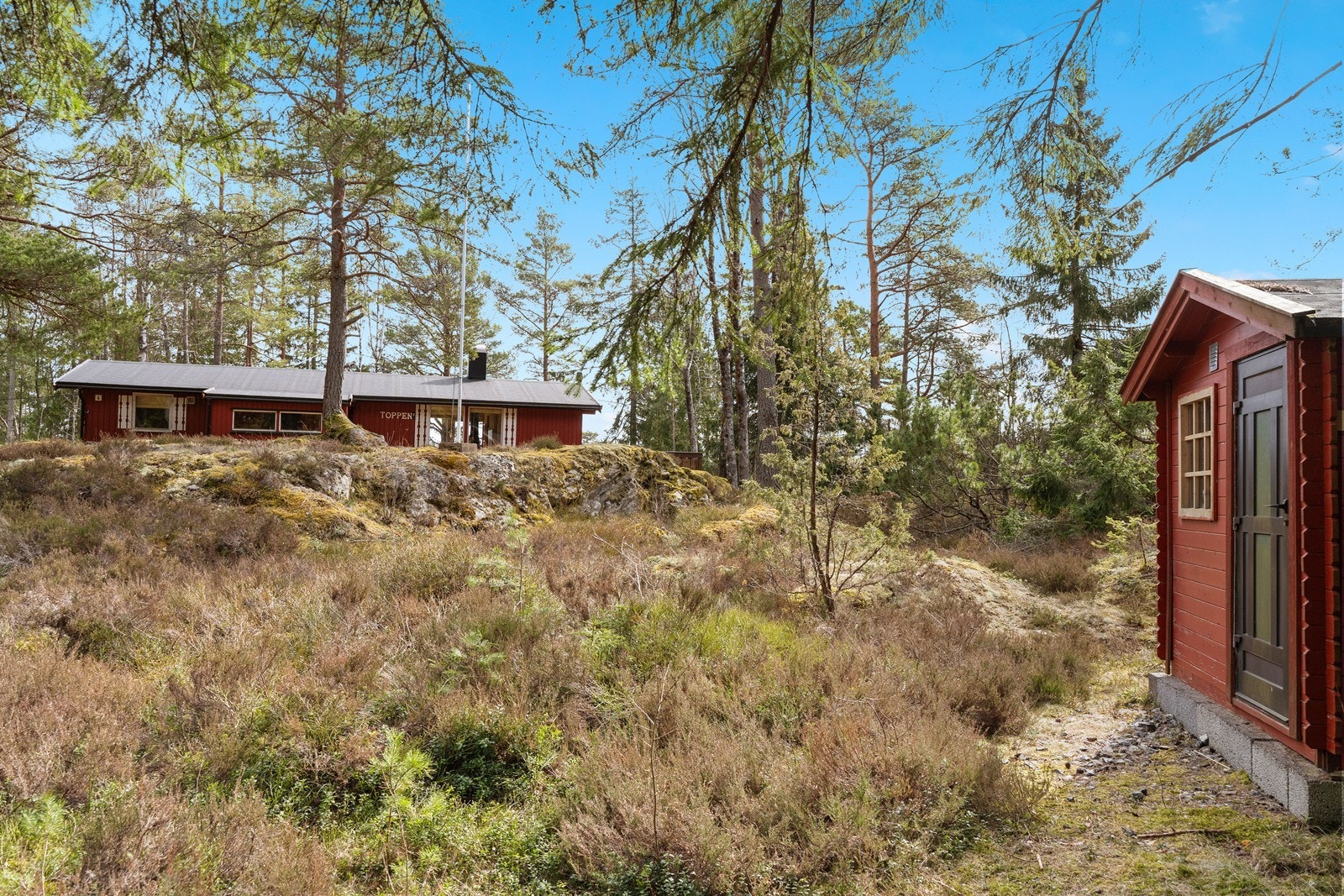 Lettholdt skogstomt Galleribilde