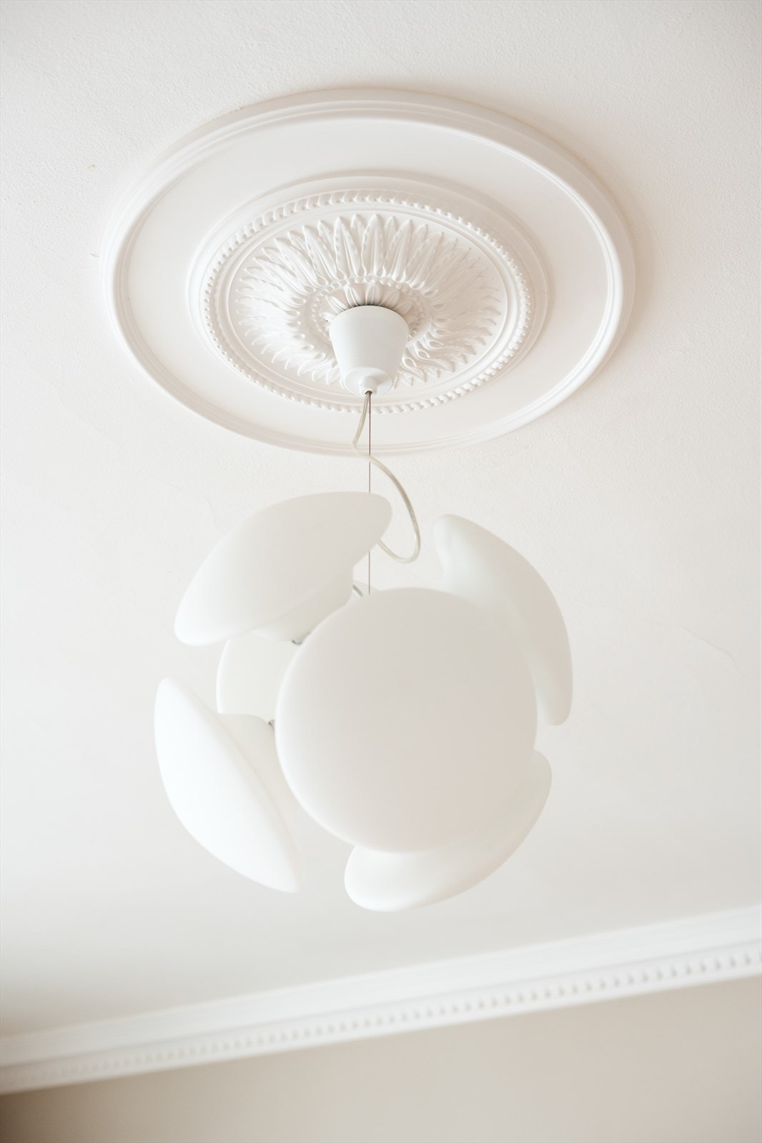 I himlingen er det nydelig rosett og stukkatur. Galleribilde