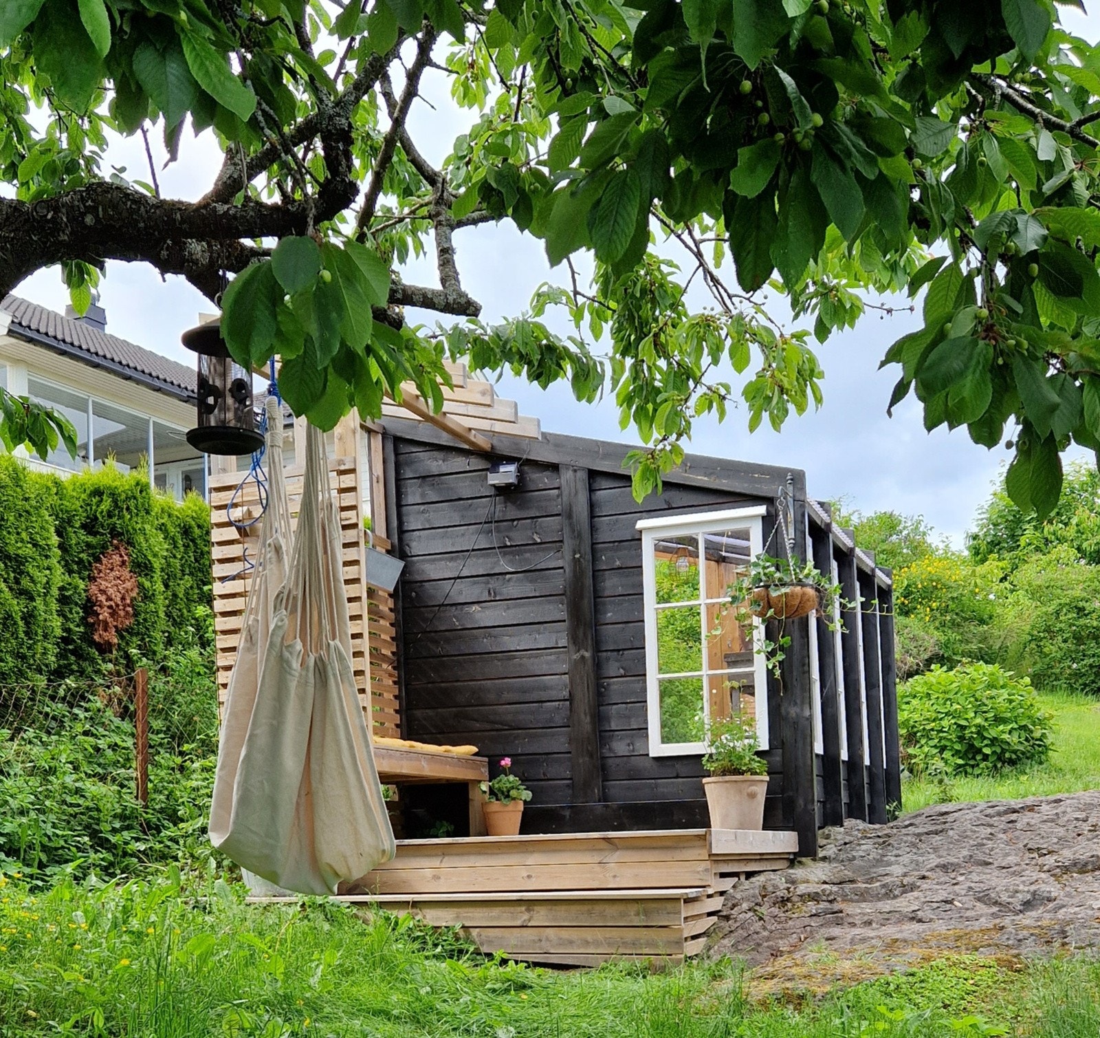 Utestuen er et ypperlig sted for å gro egne grønnsaker - perfekt for deg med grønne fingre. Galleribilde