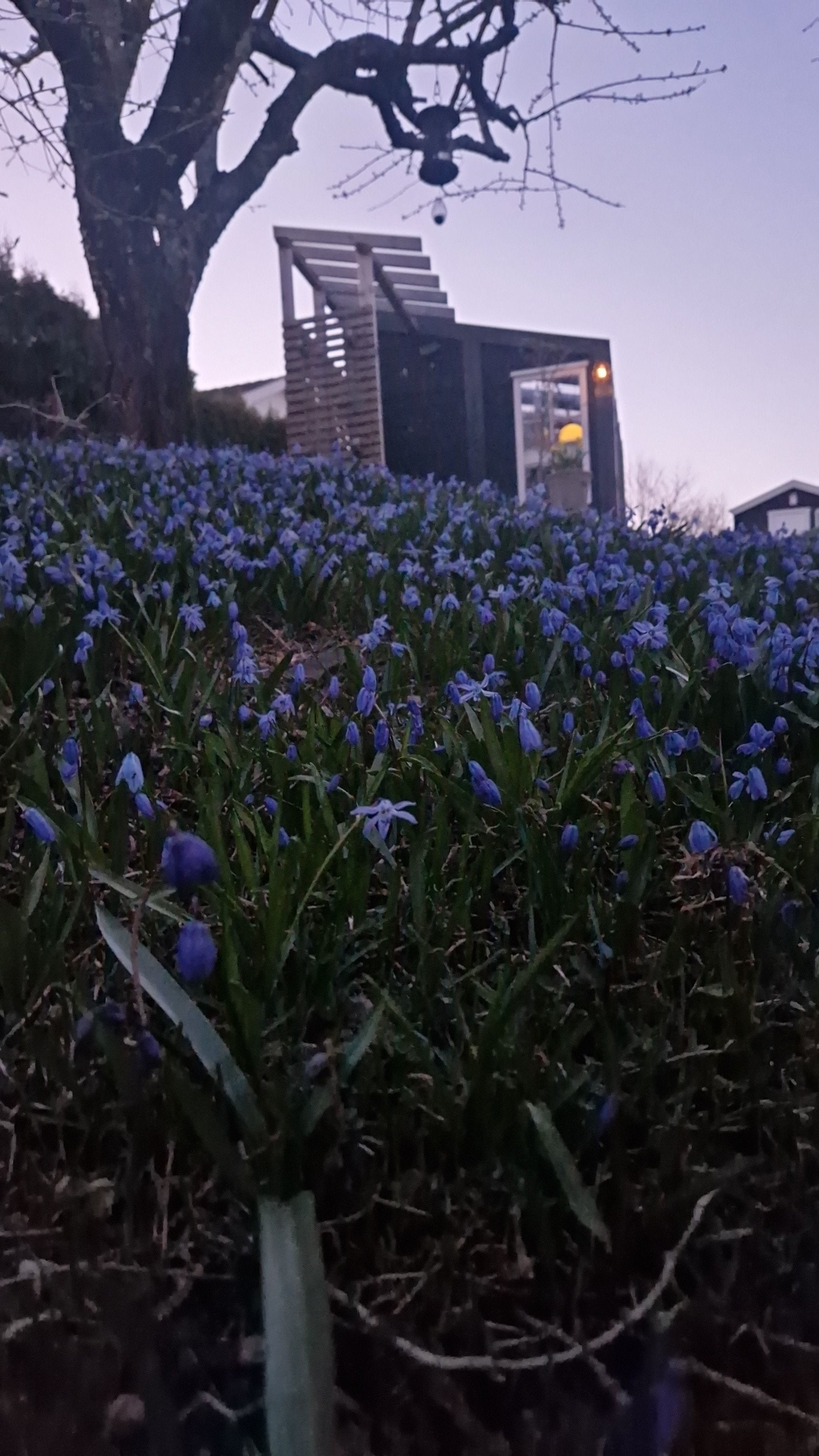 Selgers egne bilder. Galleribilde