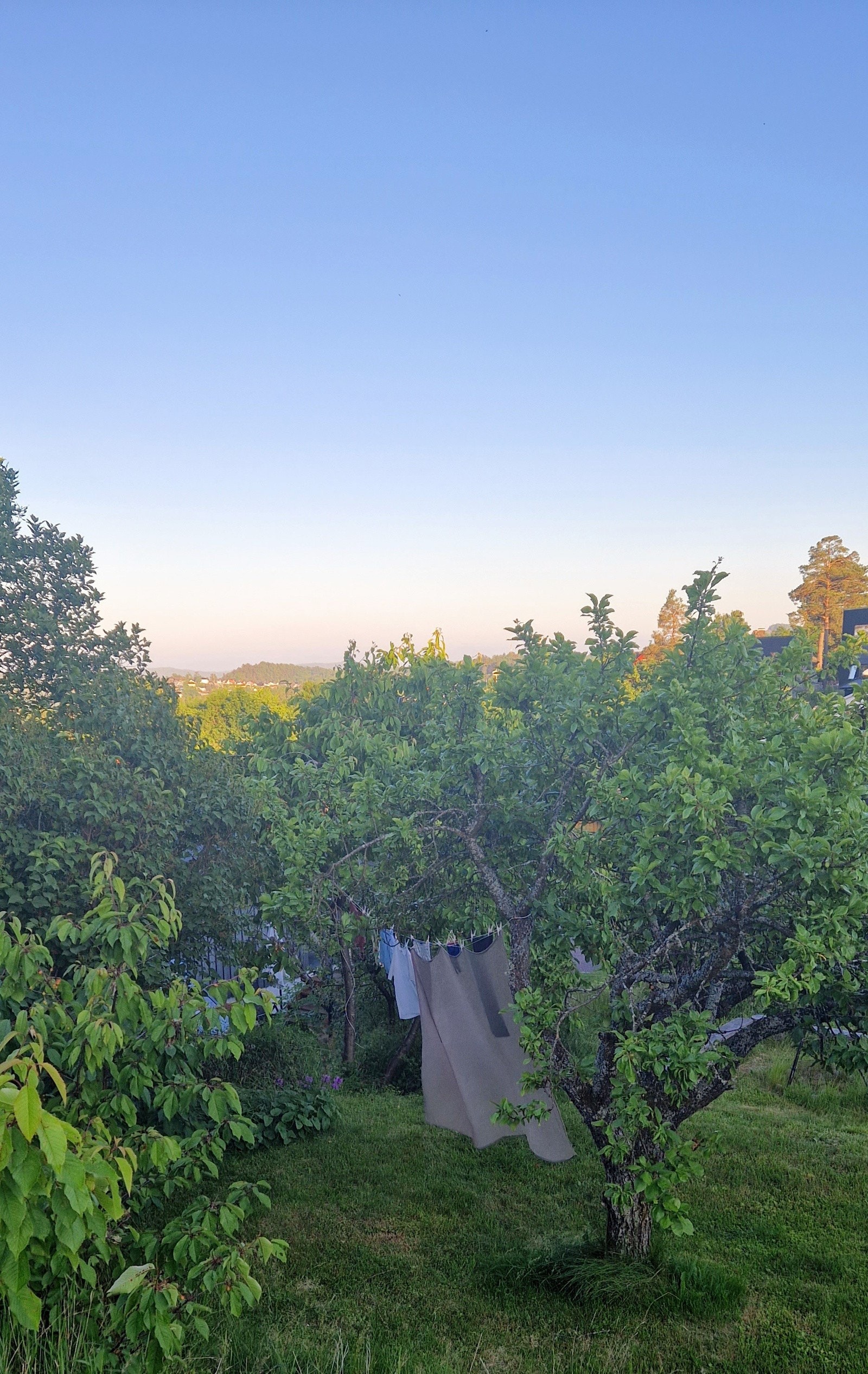 Selgers egne bilder. Galleribilde