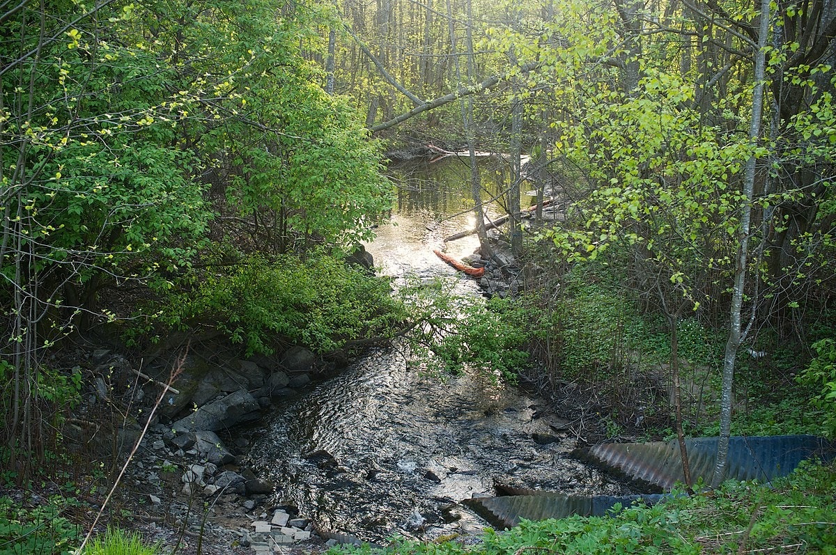 Turstiene langs idylliske Ljanselva like nedenfor leiligheten er perfekte for joggeturer og friluftsliv. Foto: Kjetil Ree. Galleribilde